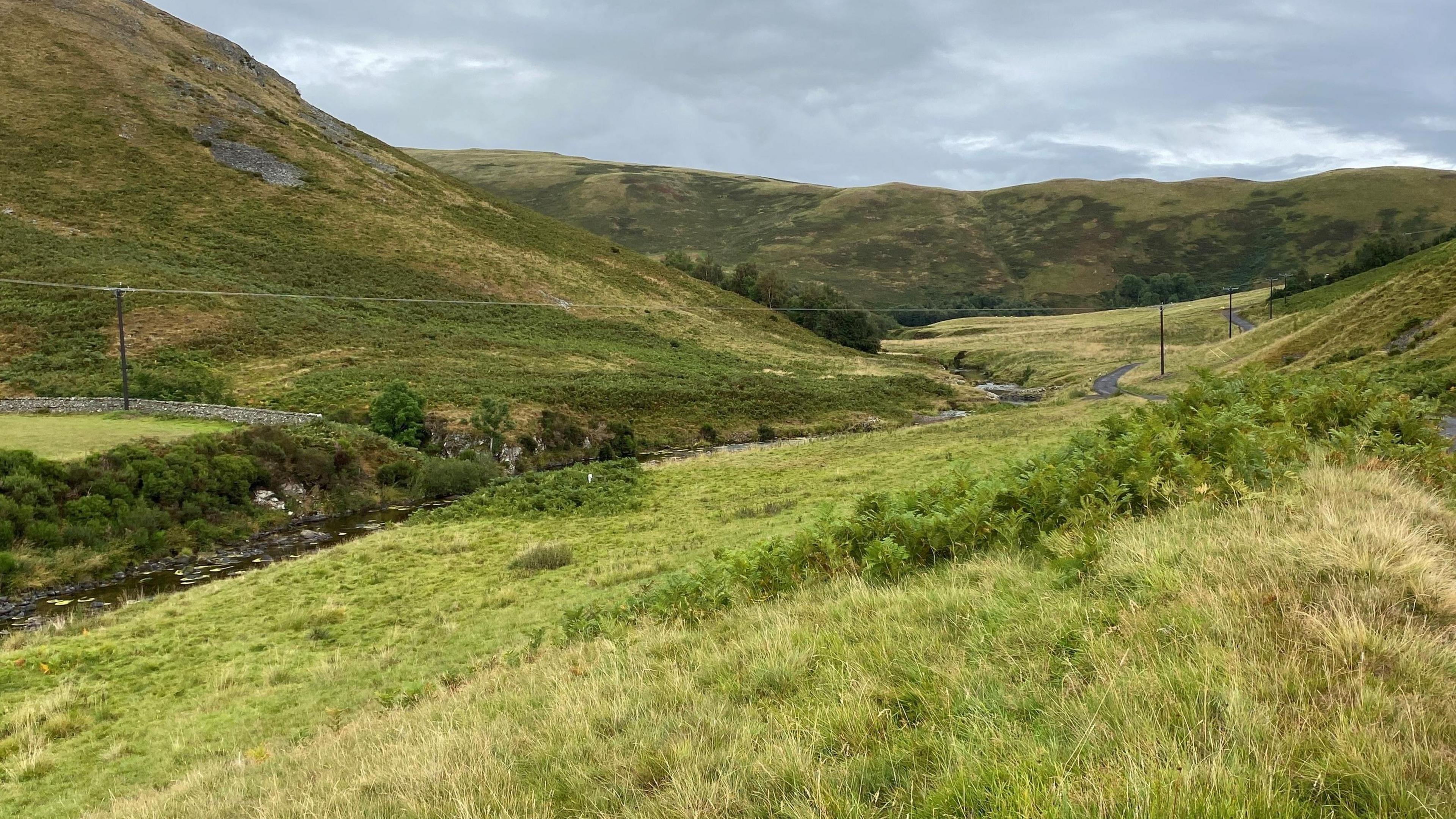 A row of electricity poles stretch across a green valley with a river cutting through the centre of the image