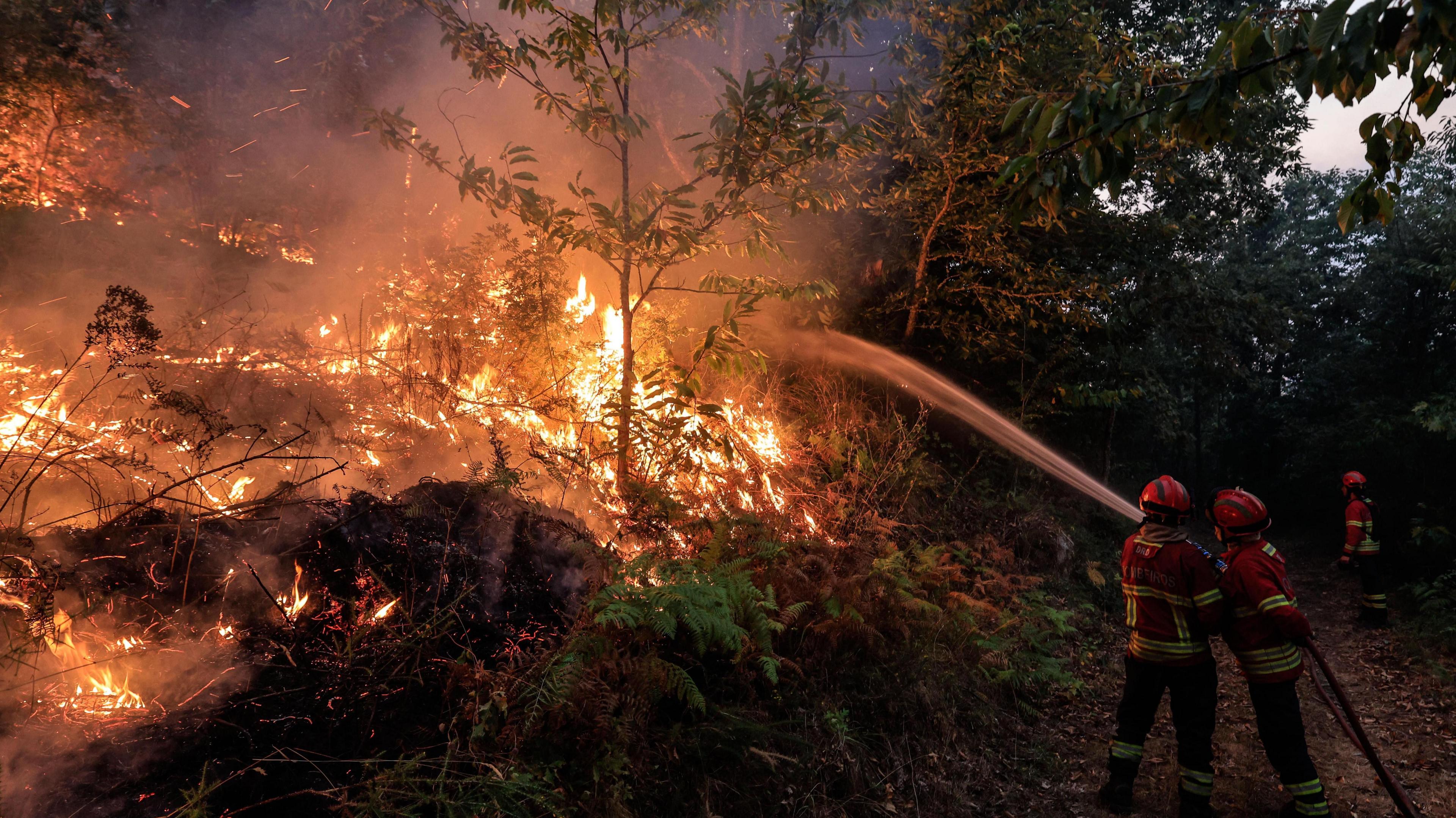 Firefighters at work during a forest fire in Bornes de Aguiar, Portugal