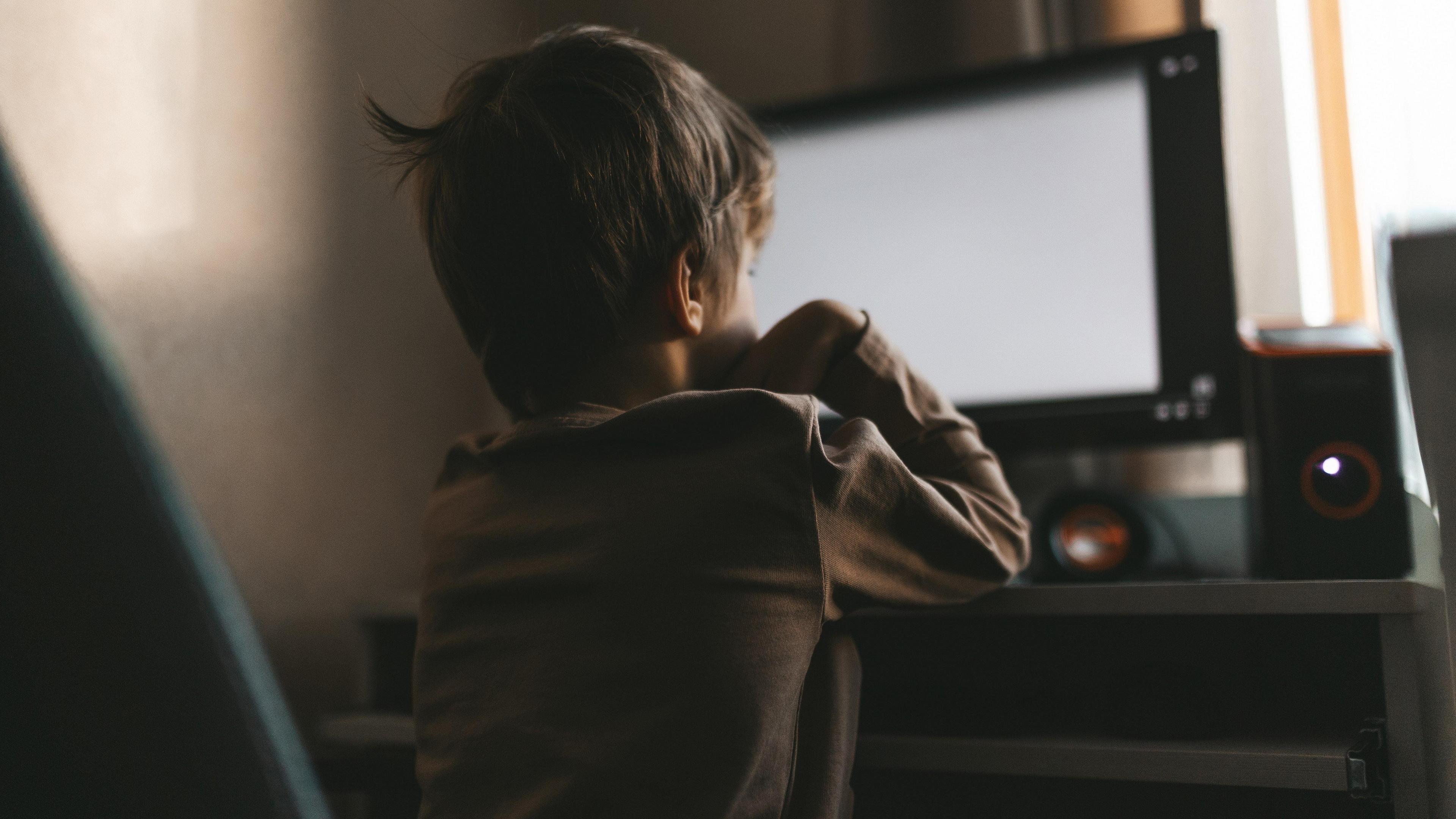 A boy sits with his back to the camera. He's in front of a computer. His hands are resting on his face.