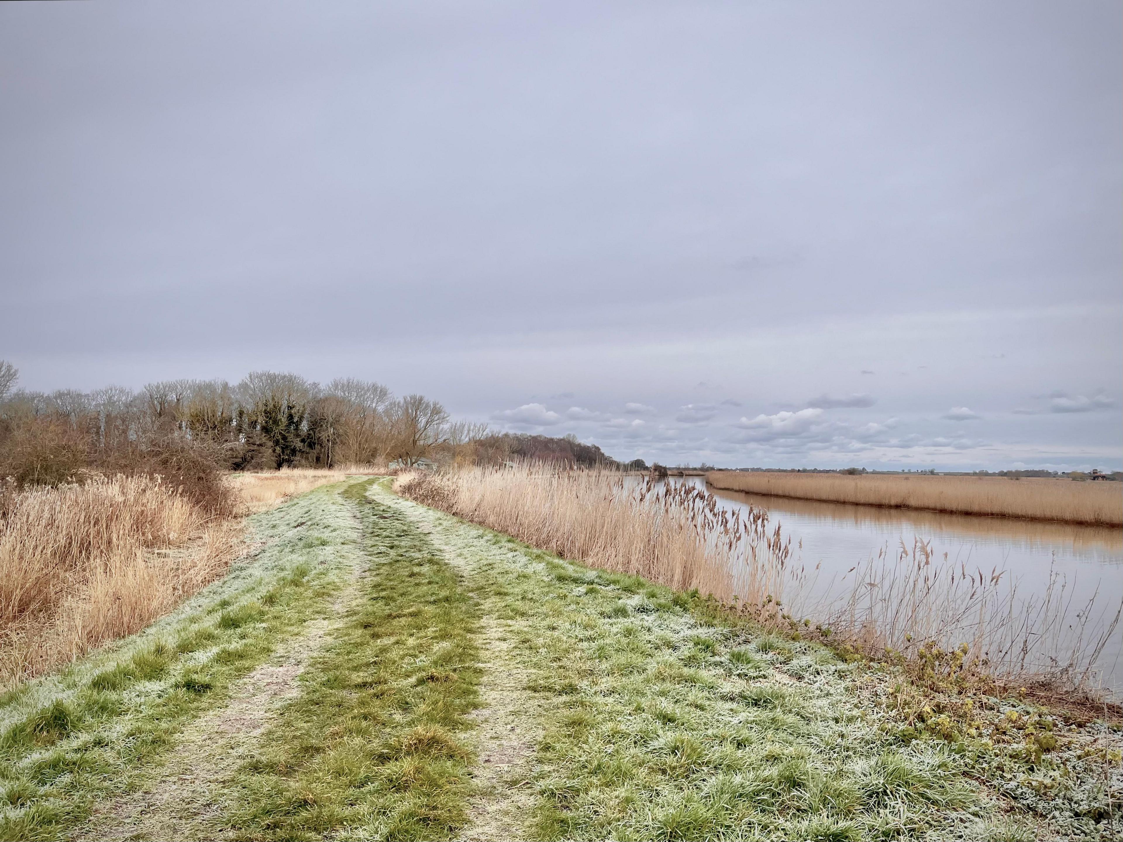 Field in Acle, Norfolk