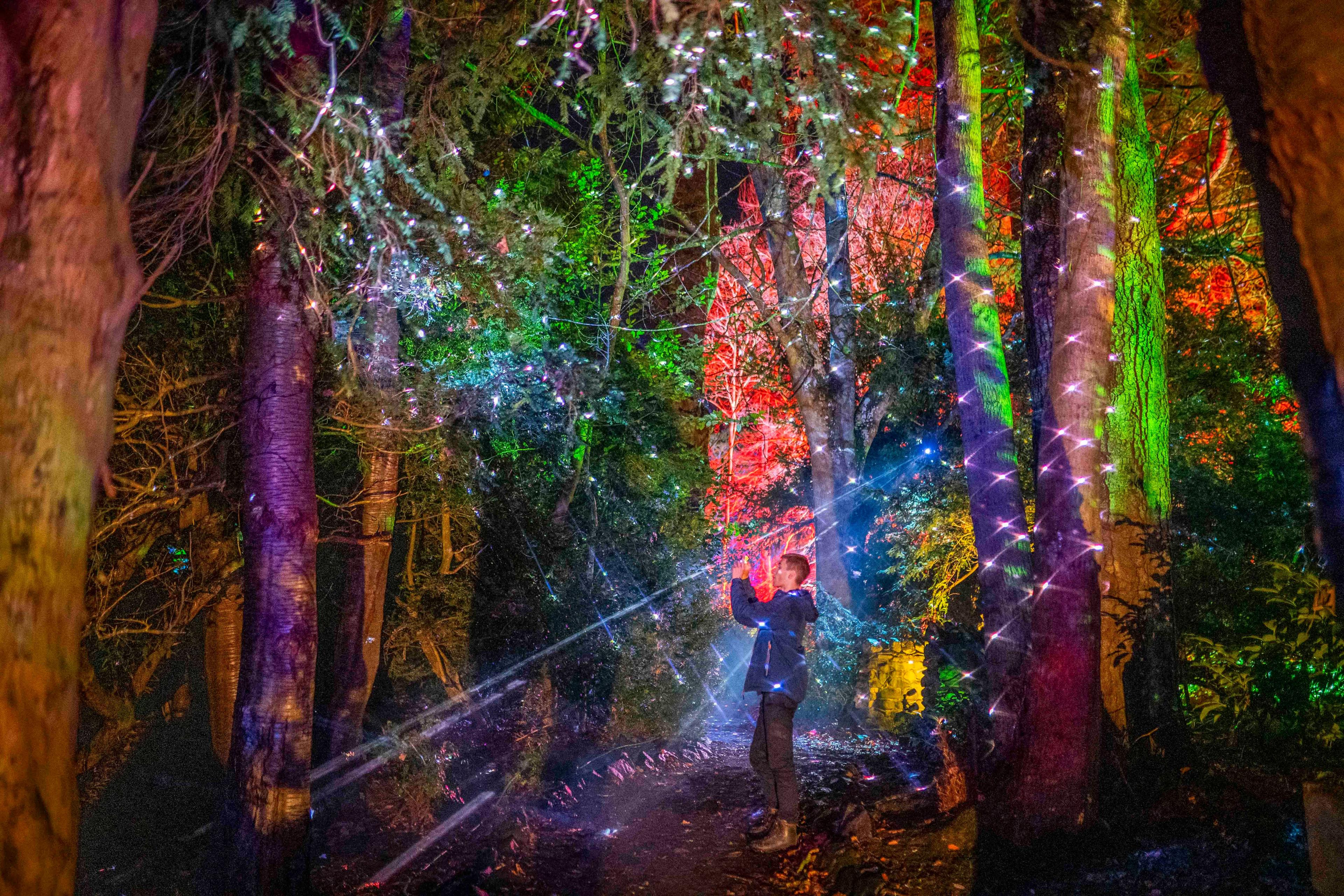 A man takes a picture of bright lights on trees through a Borders woodland