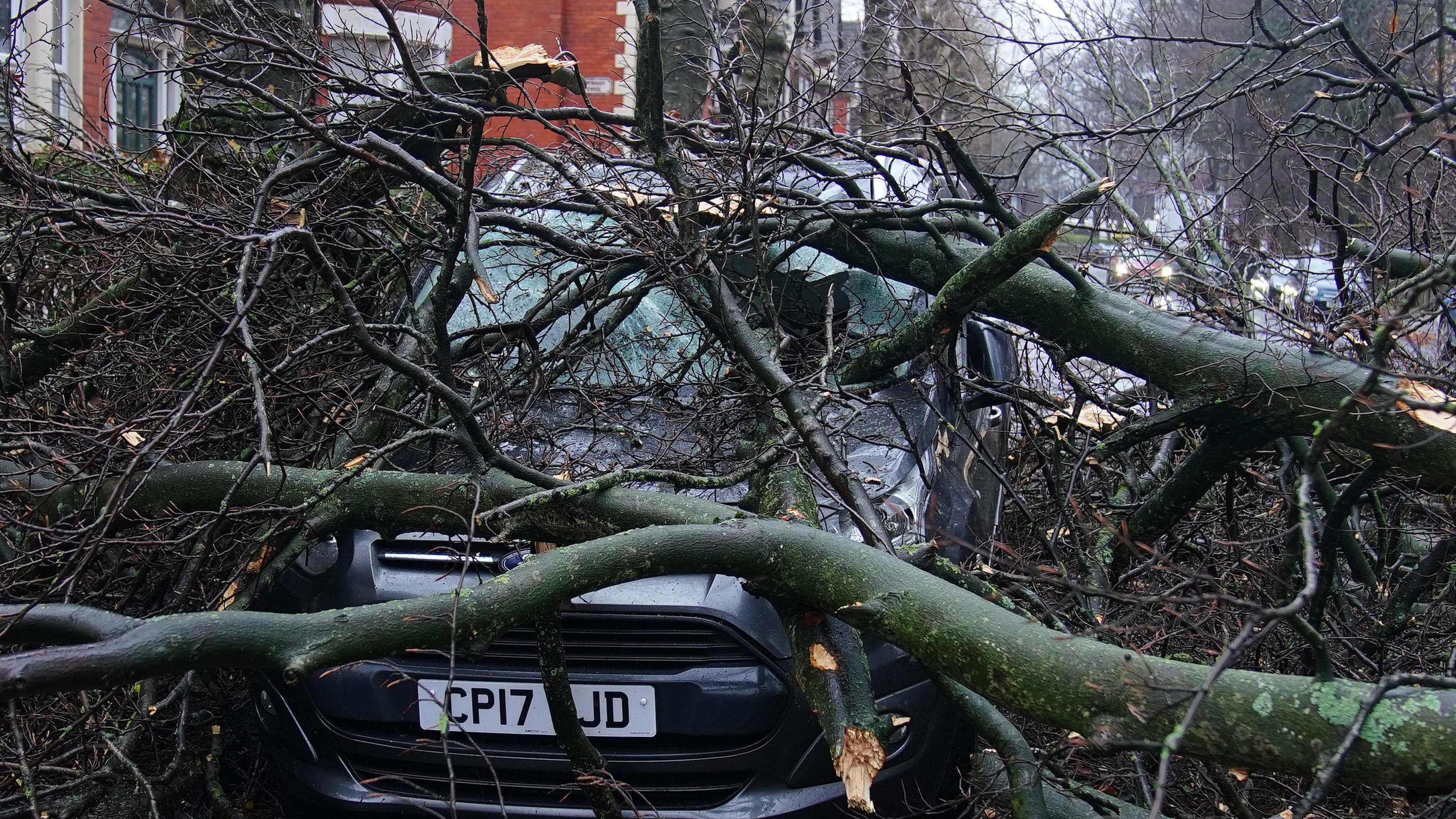 A fallen tree smashes a car in a Liverpool street 