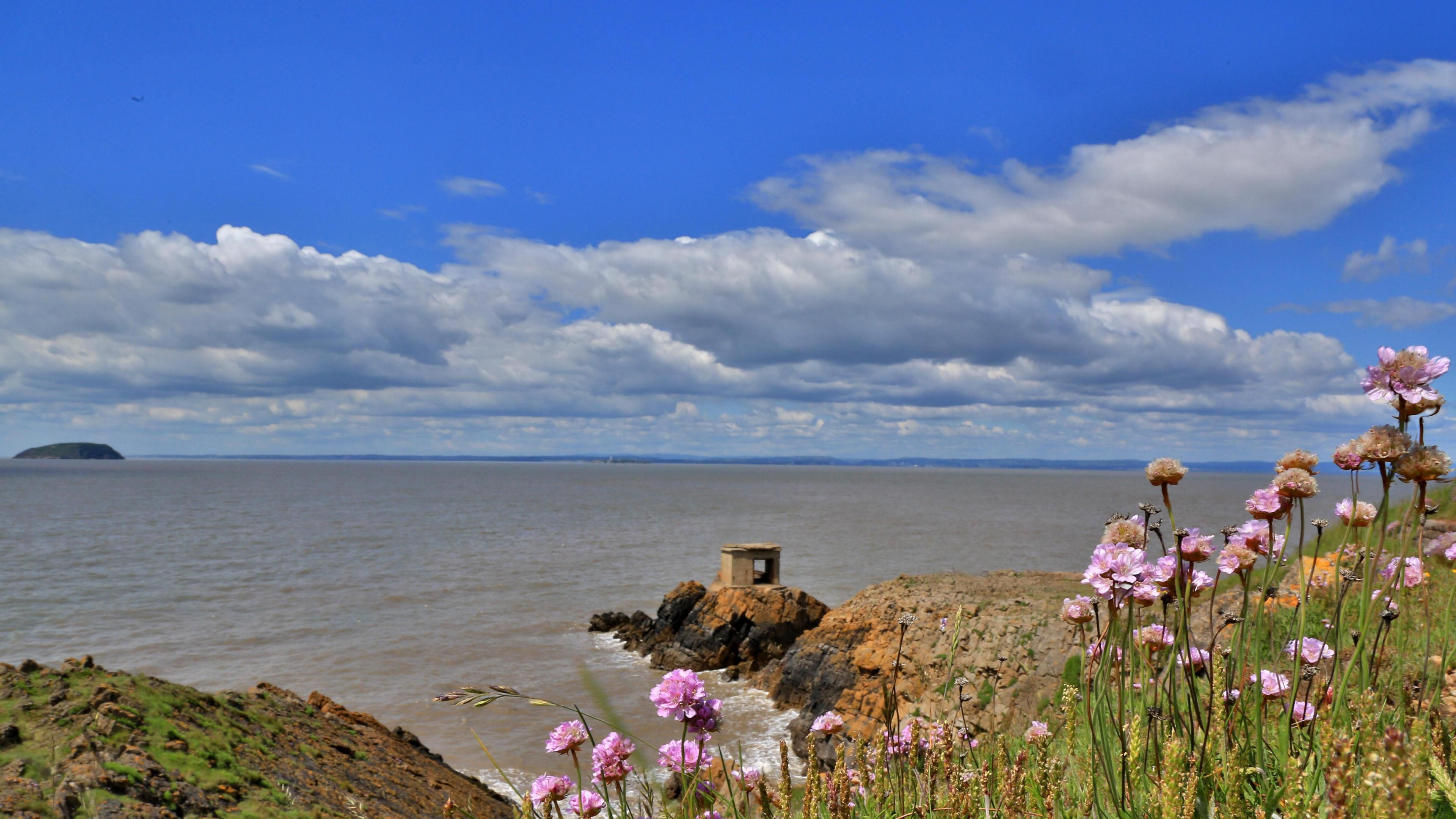 A small fort on a rock looks over the Bristol Channel, framed by pink wildflowers