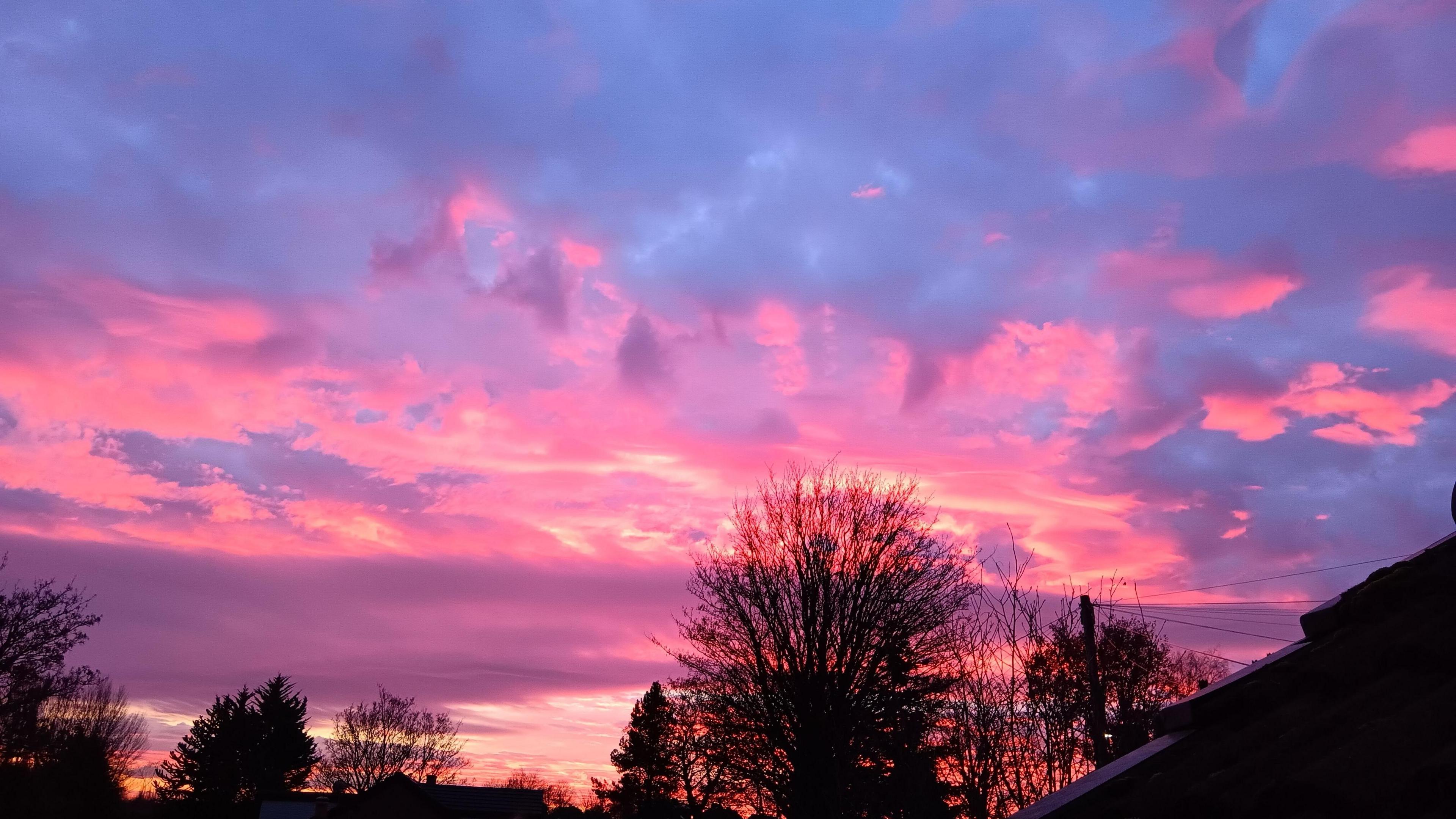 Fluroescent pink and blue clouds can be seen over trees and rooftops