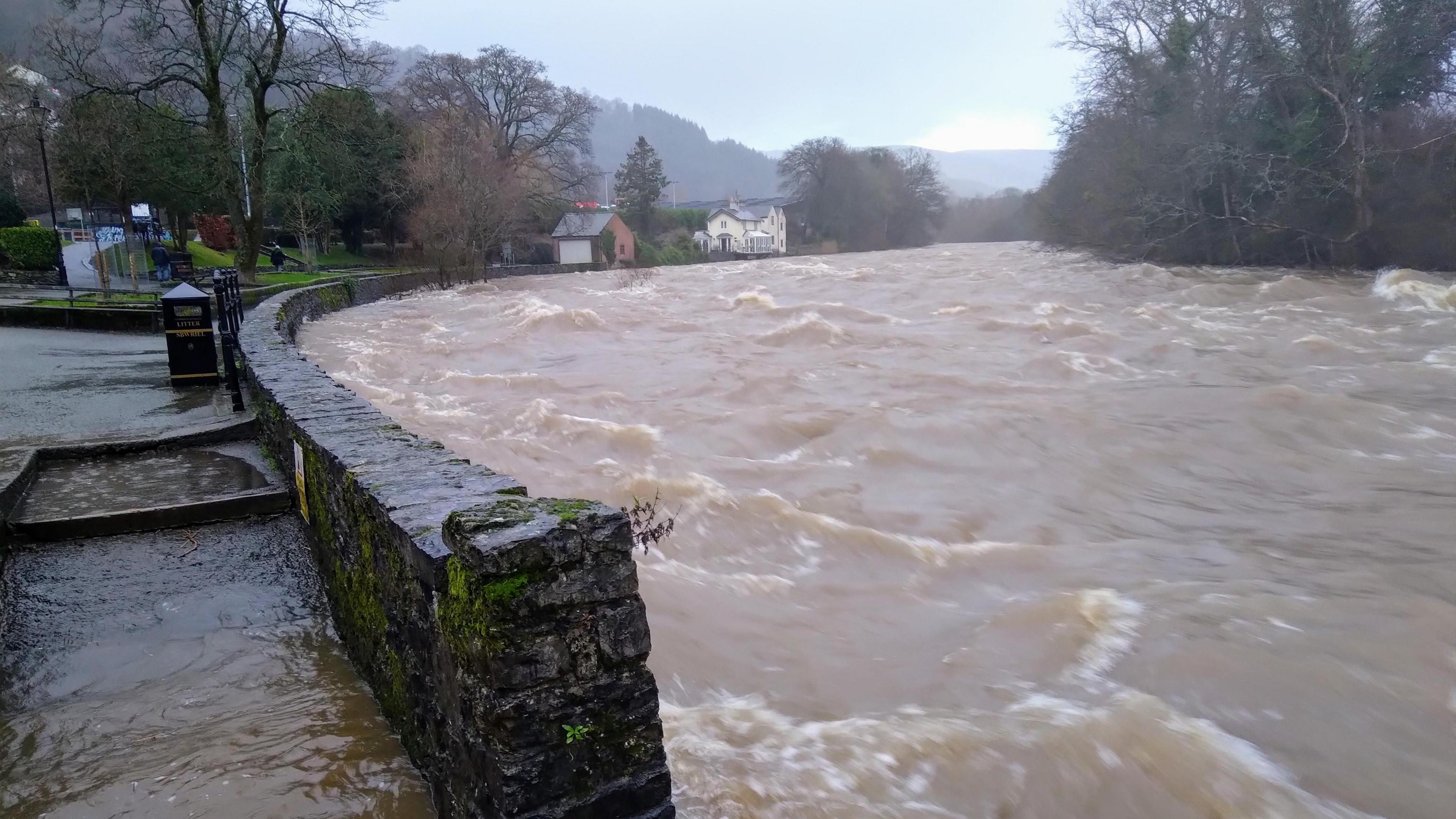 Afon Dyfrdwy yn uchel iawn yn Llangollen