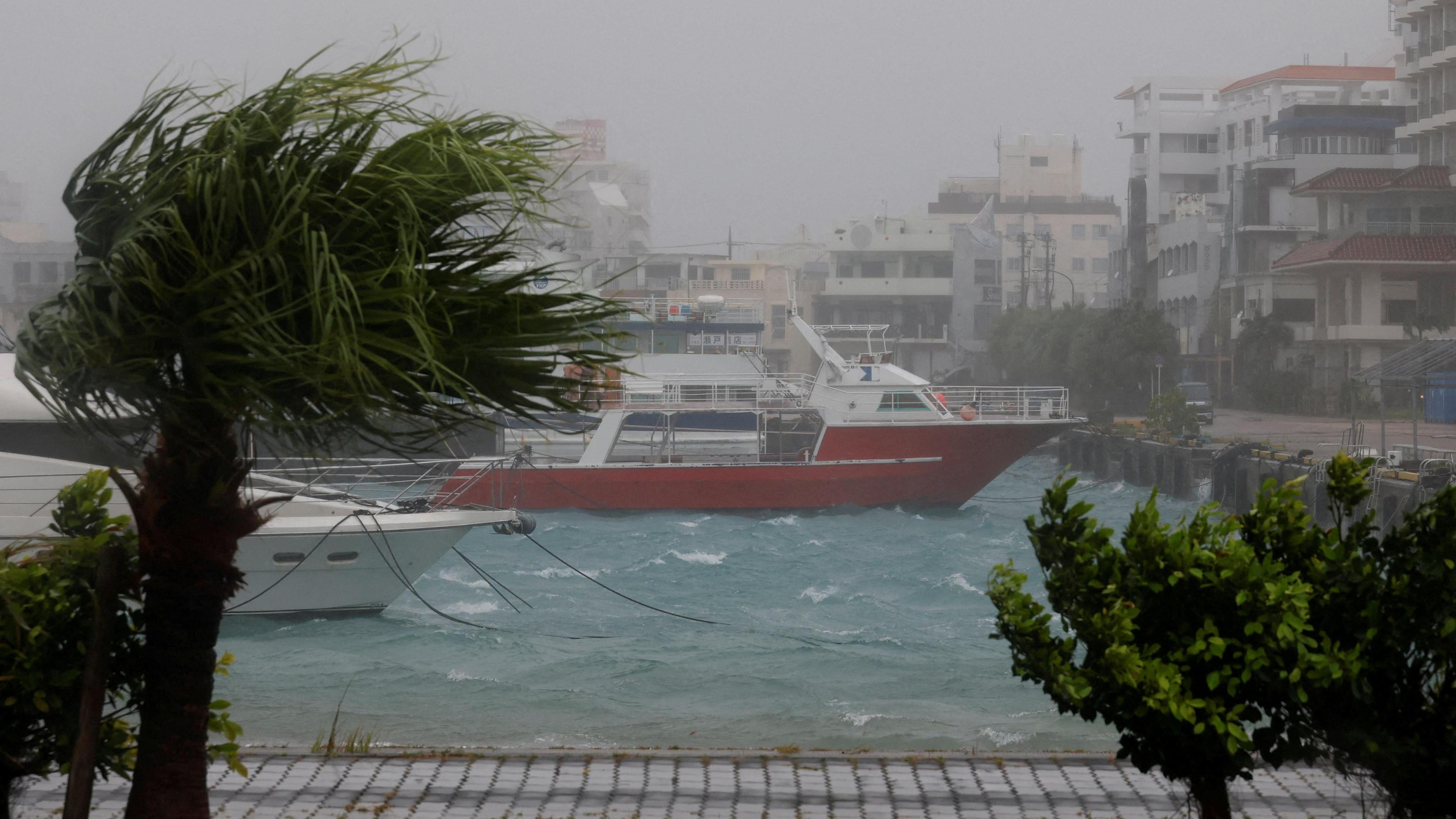 High winds and wet weather at a marina in Ishigaki Island, in Japan's Okinawa Prefecture. Wind blows through a palm tree and boats are seen on a choppy sea close to the quay.