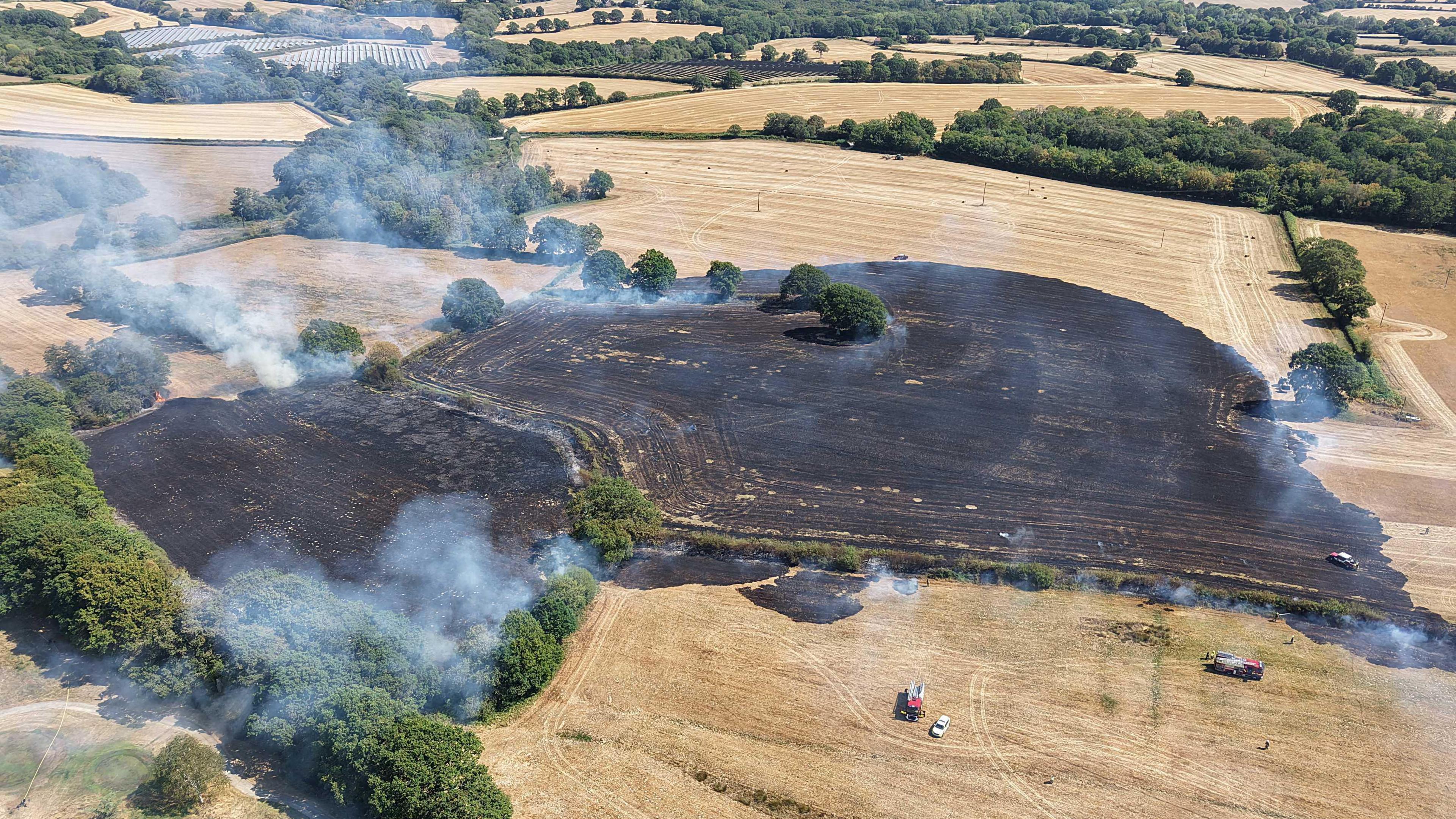 Blackened land after a blaze took hold