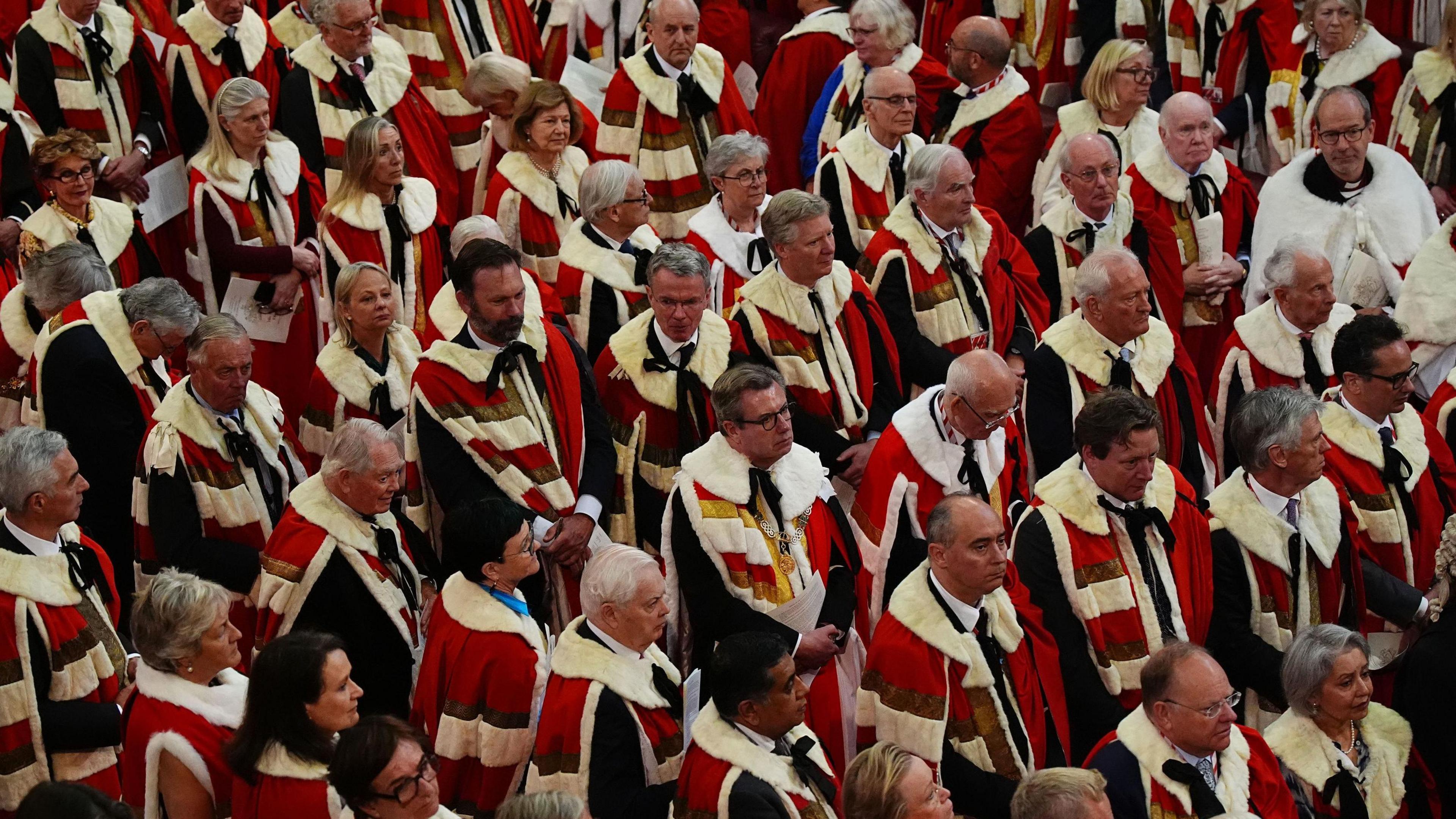 A shot of around 50 Members of the House of Lords standing, listening to the King's Speech. They are wearing red parliamentary robes.