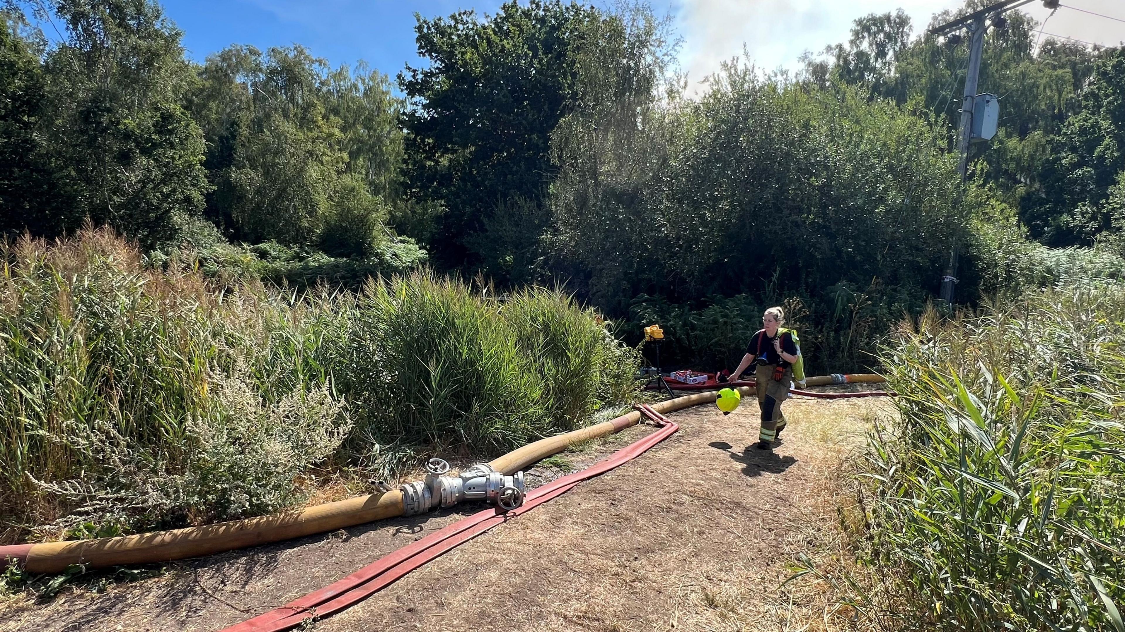 A firefighter is standing in peatland. There are several hoses on the left which are on a pathway between vegetation.