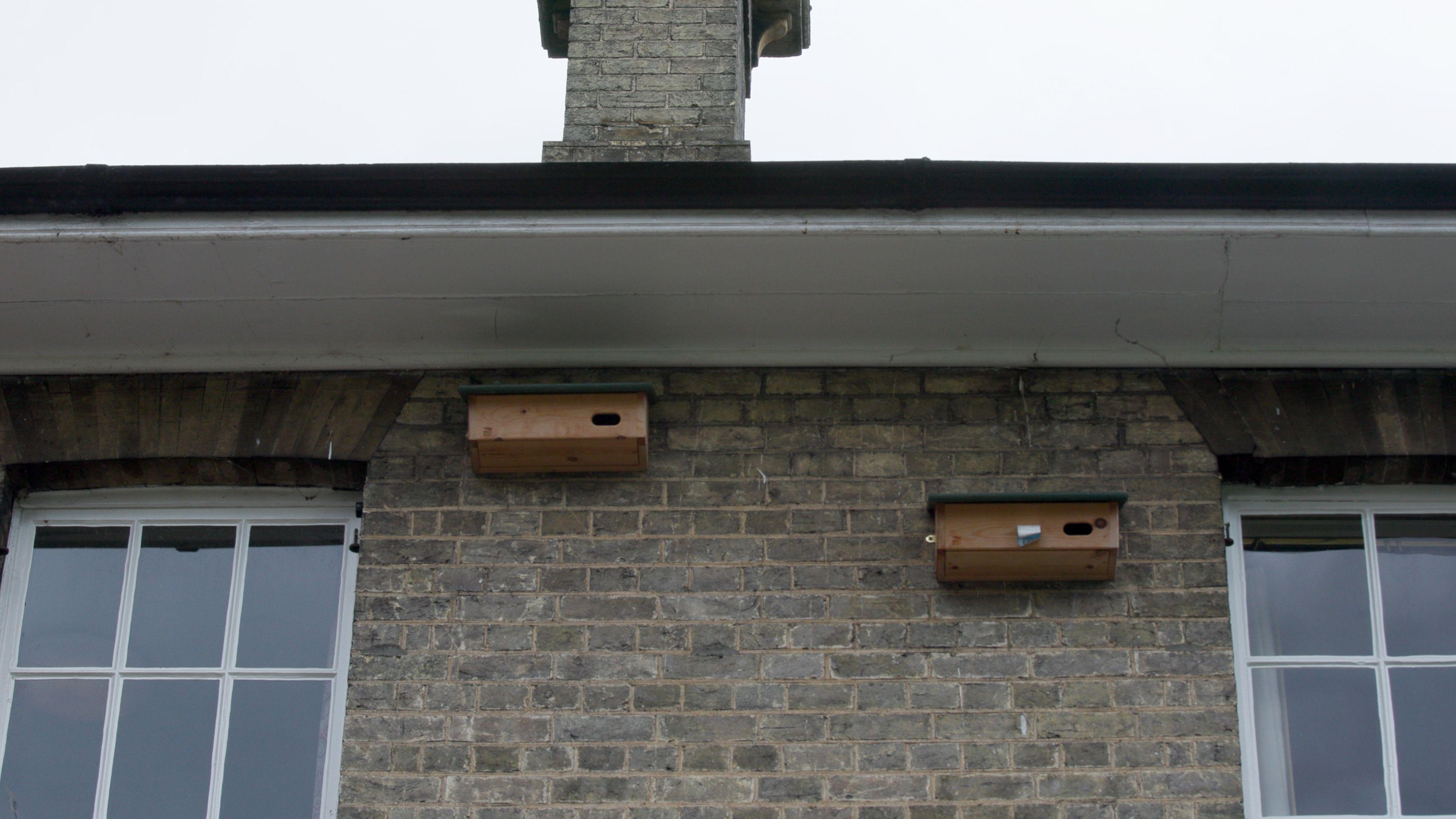 Two wooden nesting boxes are fixed to a brick wall on an old building.