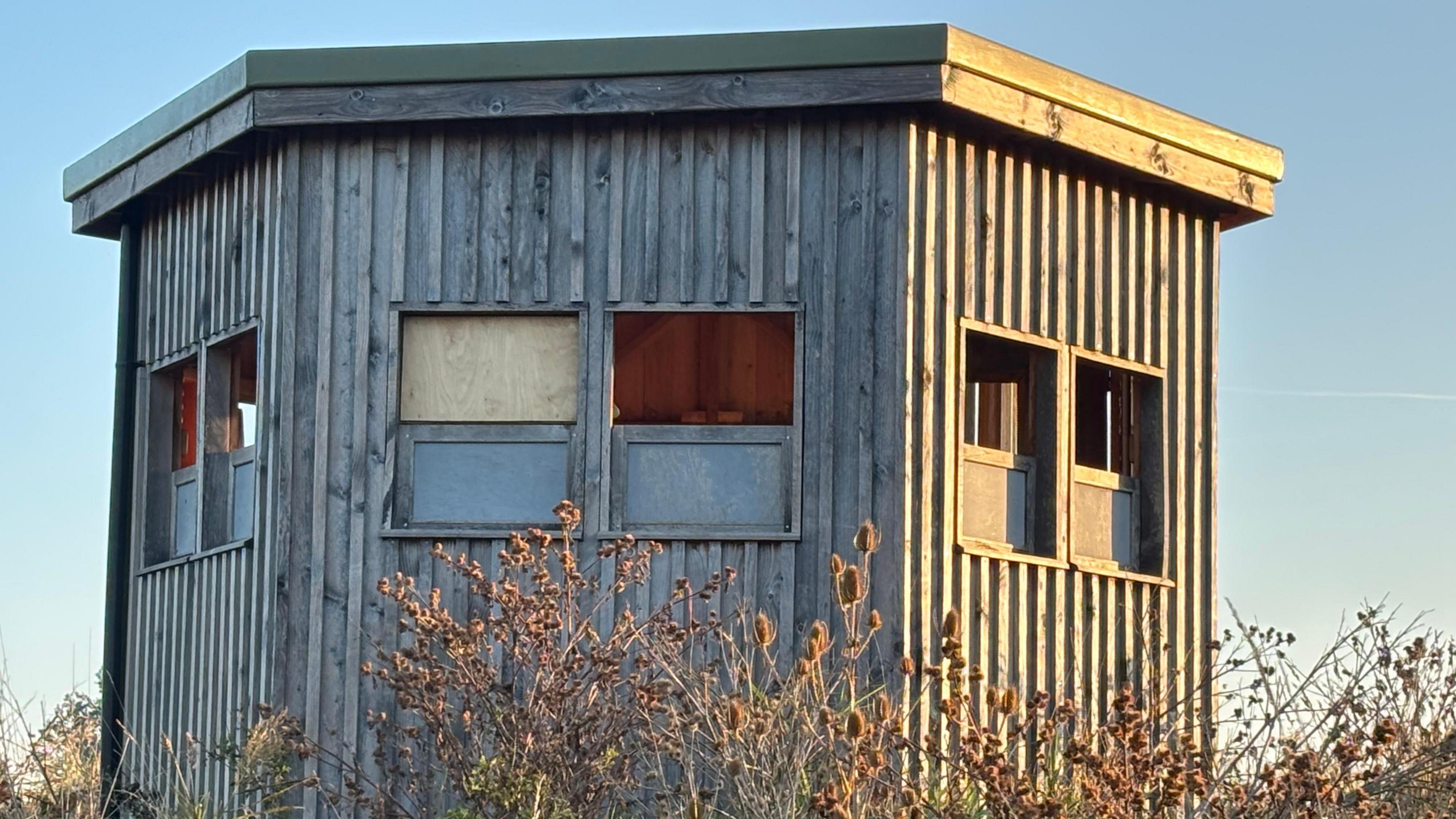 A light brown wooden hexagonal shaped birds hide is in the middle standing behind a row of plants. The windows were boarded up. 