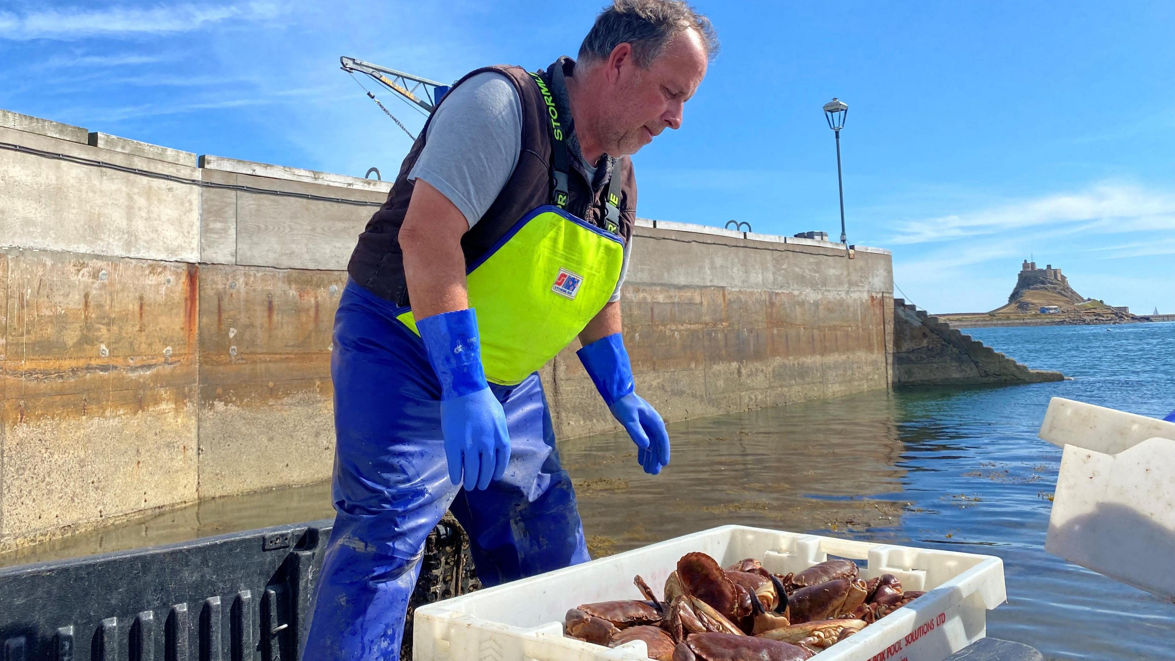 A fisherman loading crates of crabs on the Holy Island harbour. In the background you can see Holy Island castle. 