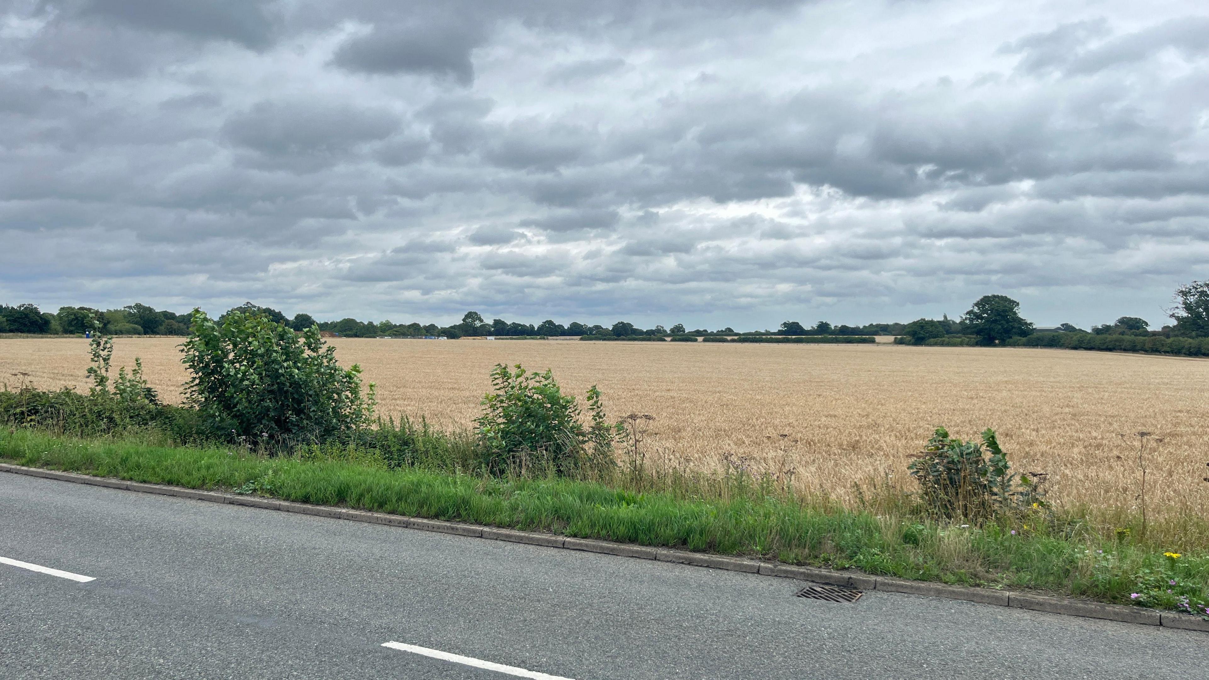 A vast countryside landscape, as seen from the road. 
