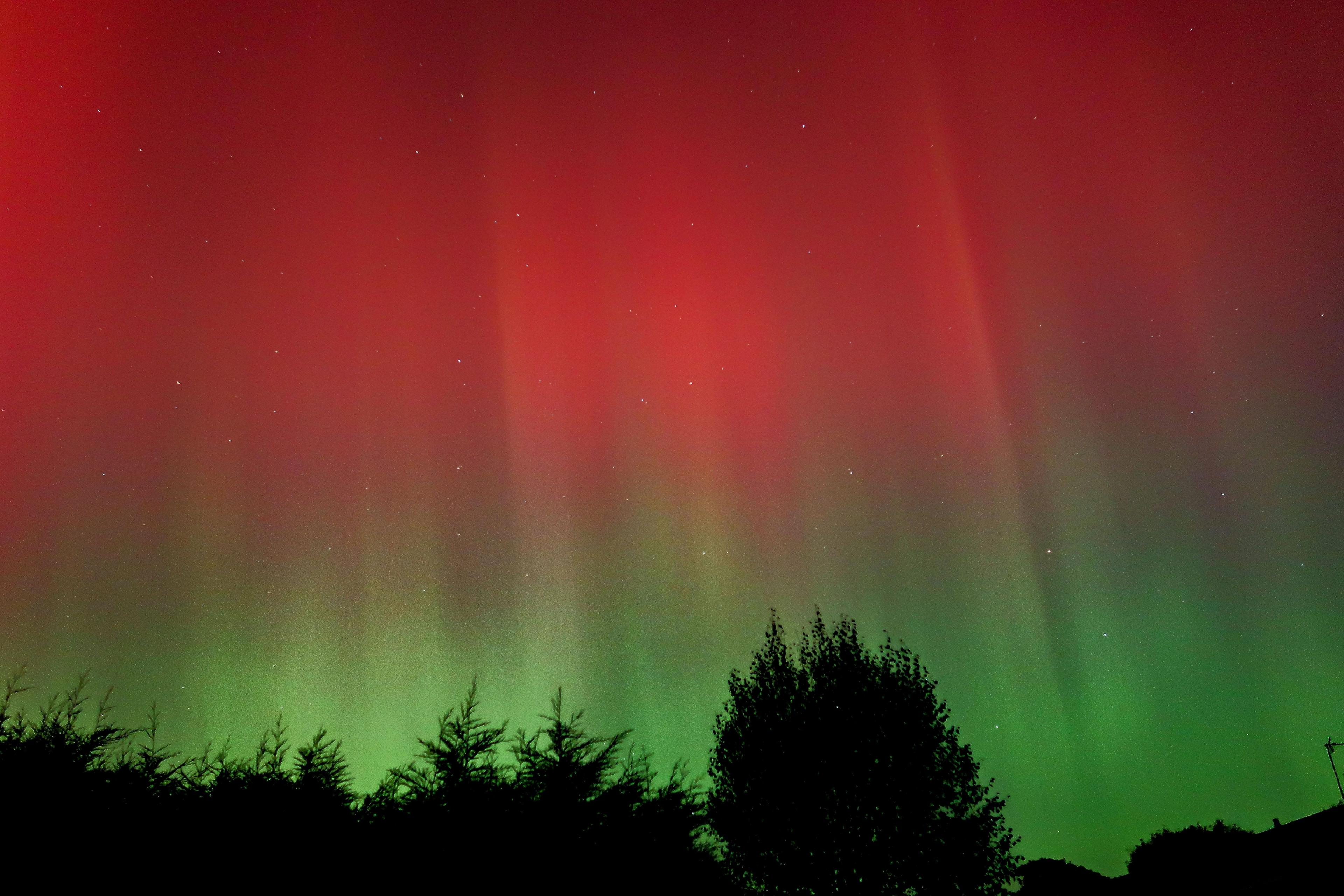 Red and green colours fill the sky, with the red at the top merging into the green, over treetops