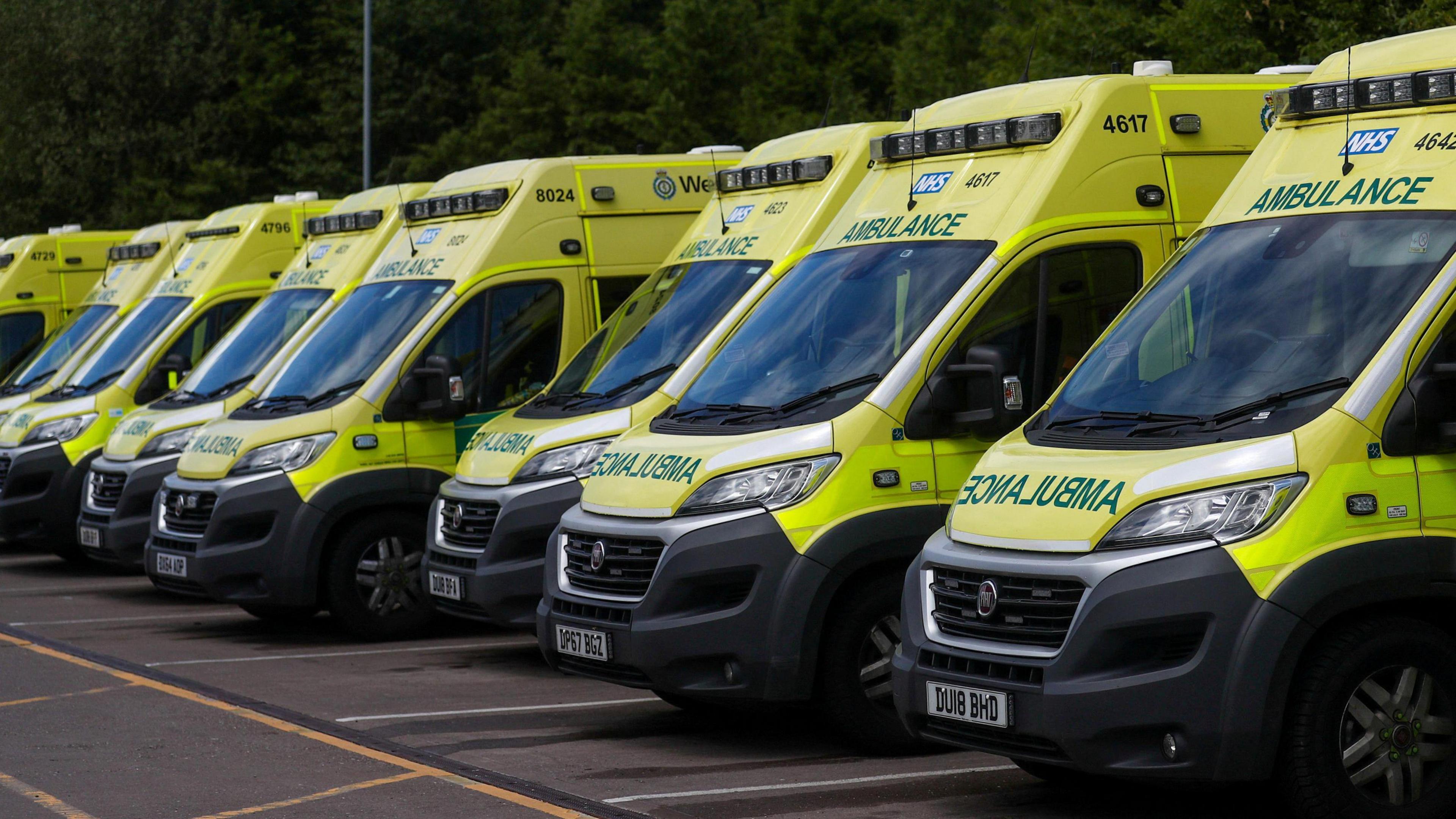 Eight ambulances are parked in parking bays in a line. They are neon yellow, with green lettering reading "ambulance", and there are dark green trees in the background.