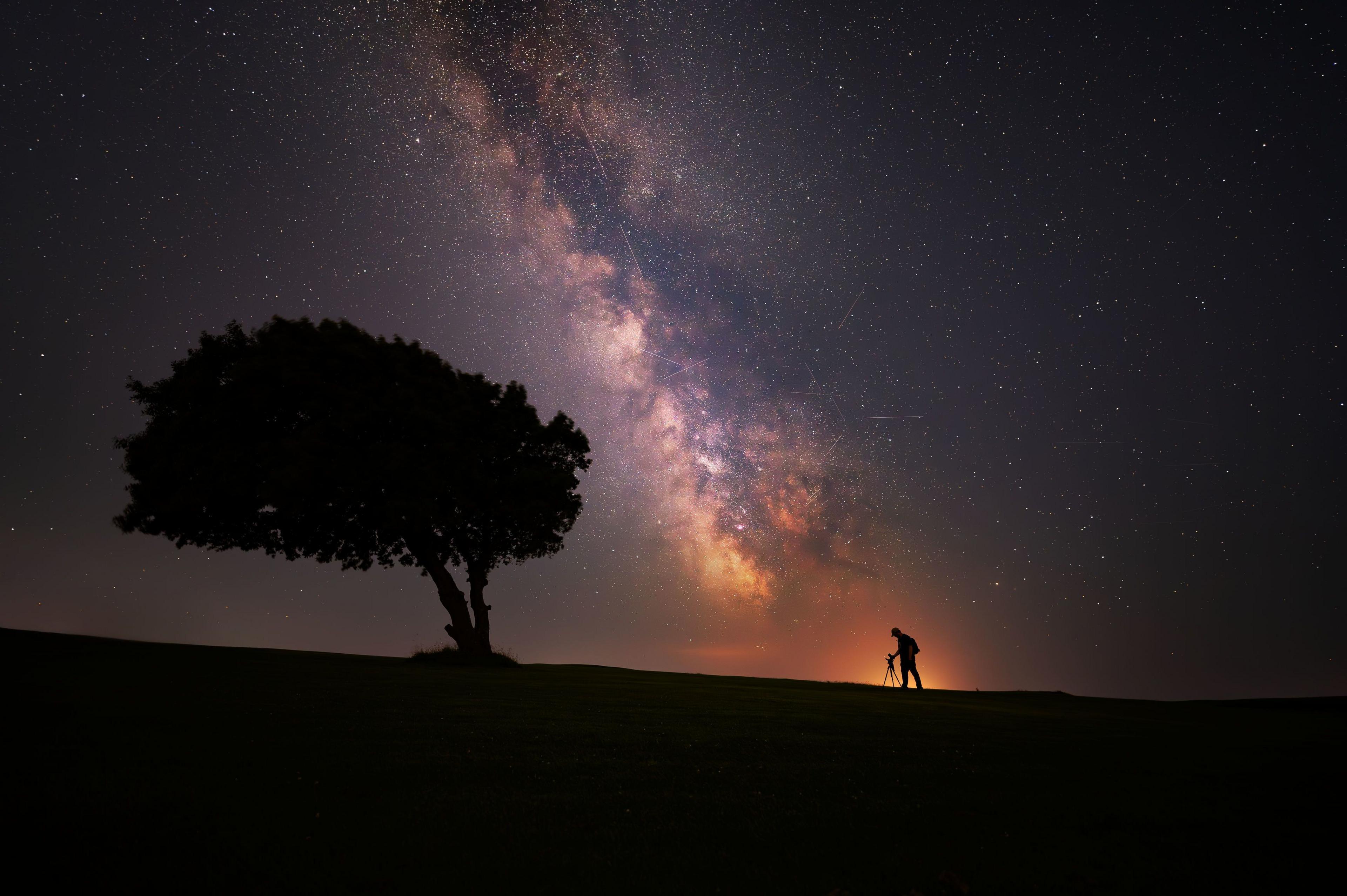 silhouettes of a tree and a photographer against a starry night sky.