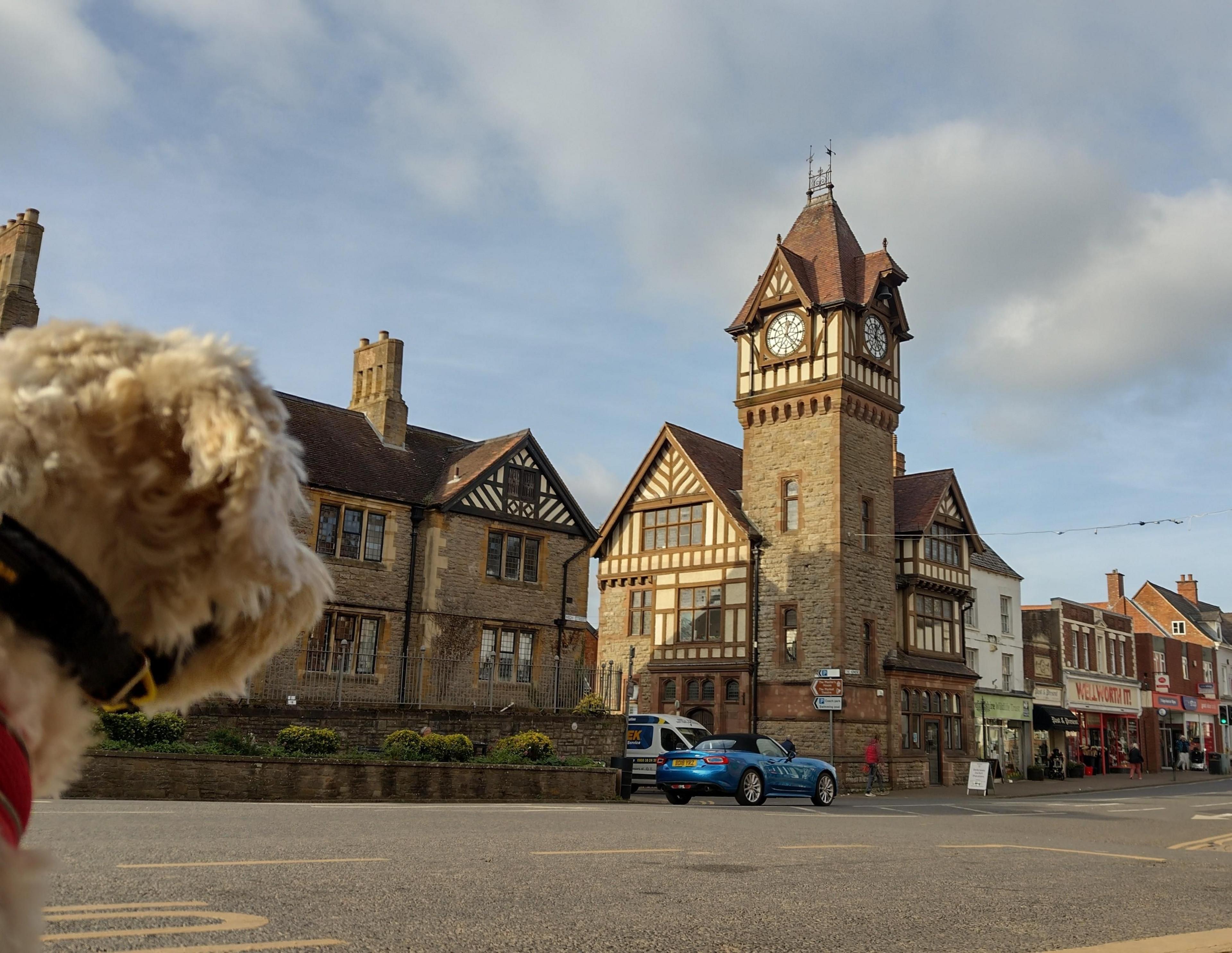 A stone and wood-beam building with an ornate clock tower, dating back to 1895, in the centre of a town street scene with a range of shops and other buildings. The shot is taken from across the street, with a dog (maybe a cockapoo) in the foreground looking towards the clock.