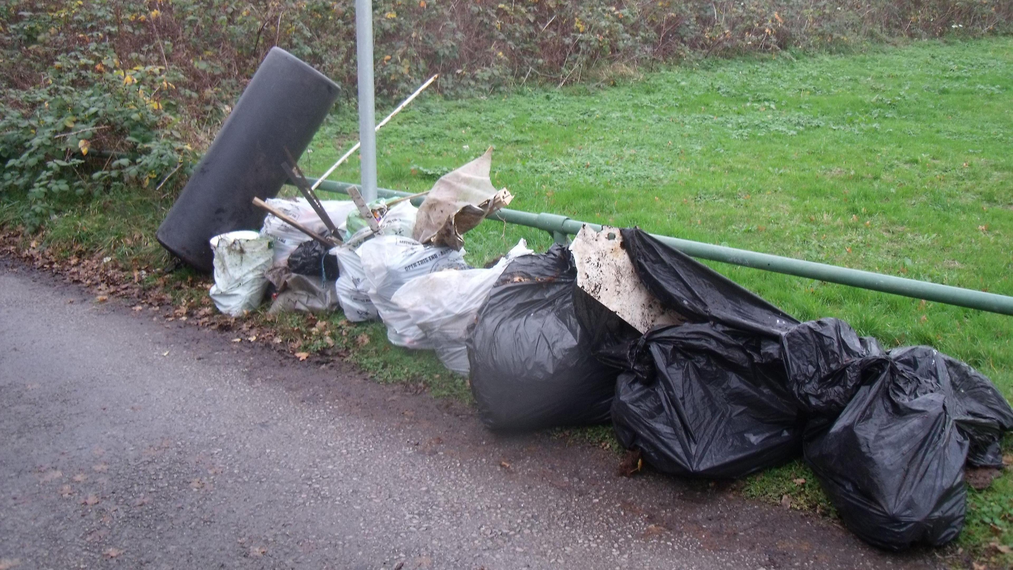 Photo of bins lined up for collection