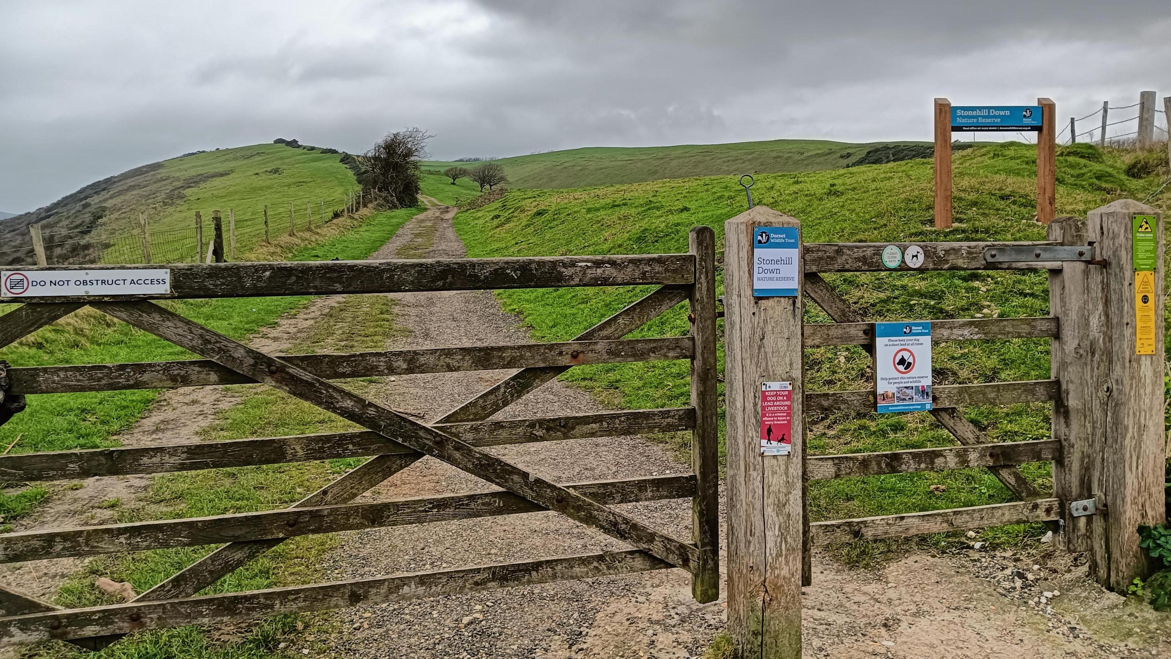 A wooden gate on a dirt track. There are signs for Stonehill Down Nature Reserve, and signs about keeping dogs on leads. Green sloping hills are in the distance.