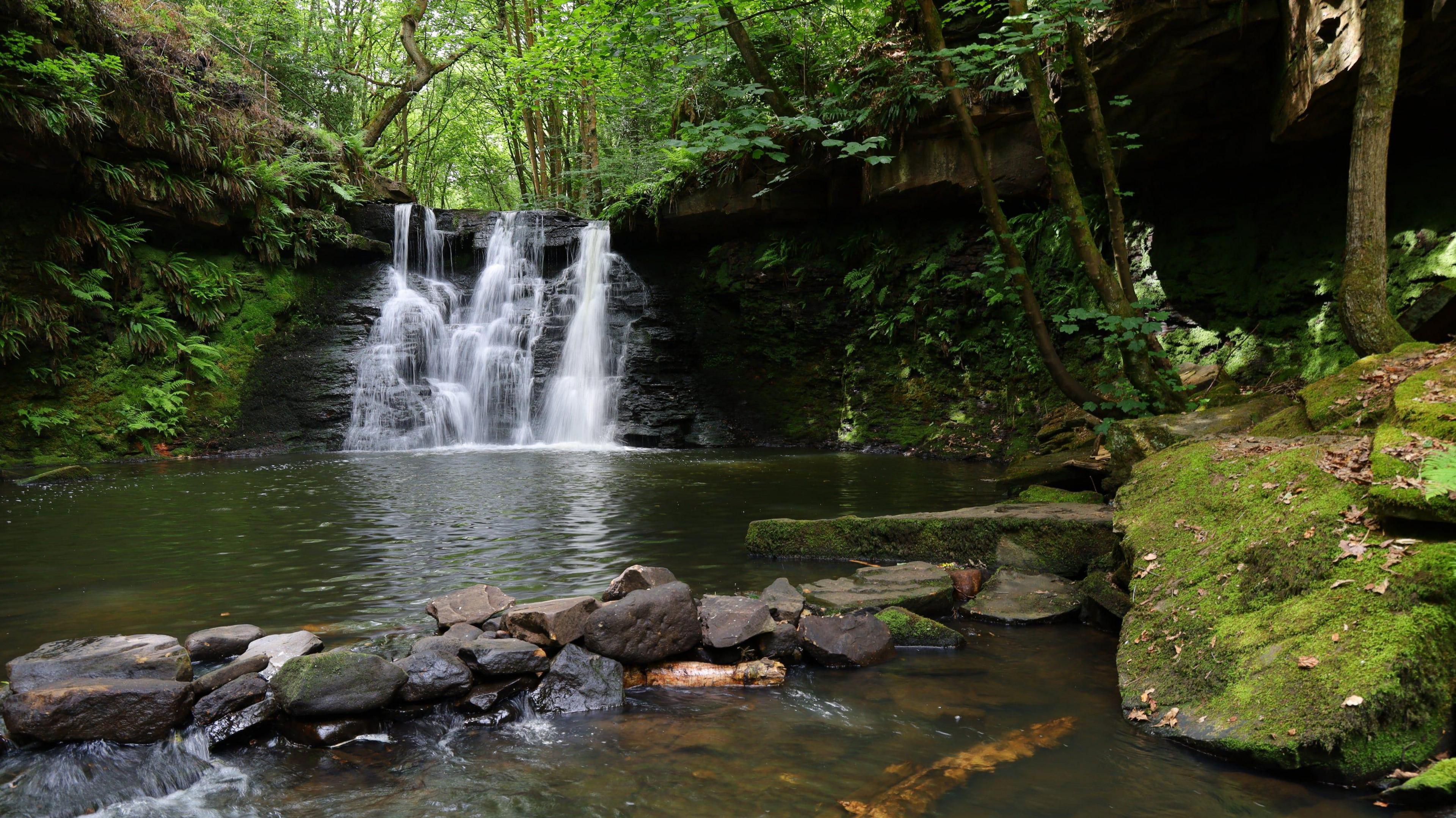 A serene woodland scene featuring a waterfall, pool and surrounding rocks and woodland.