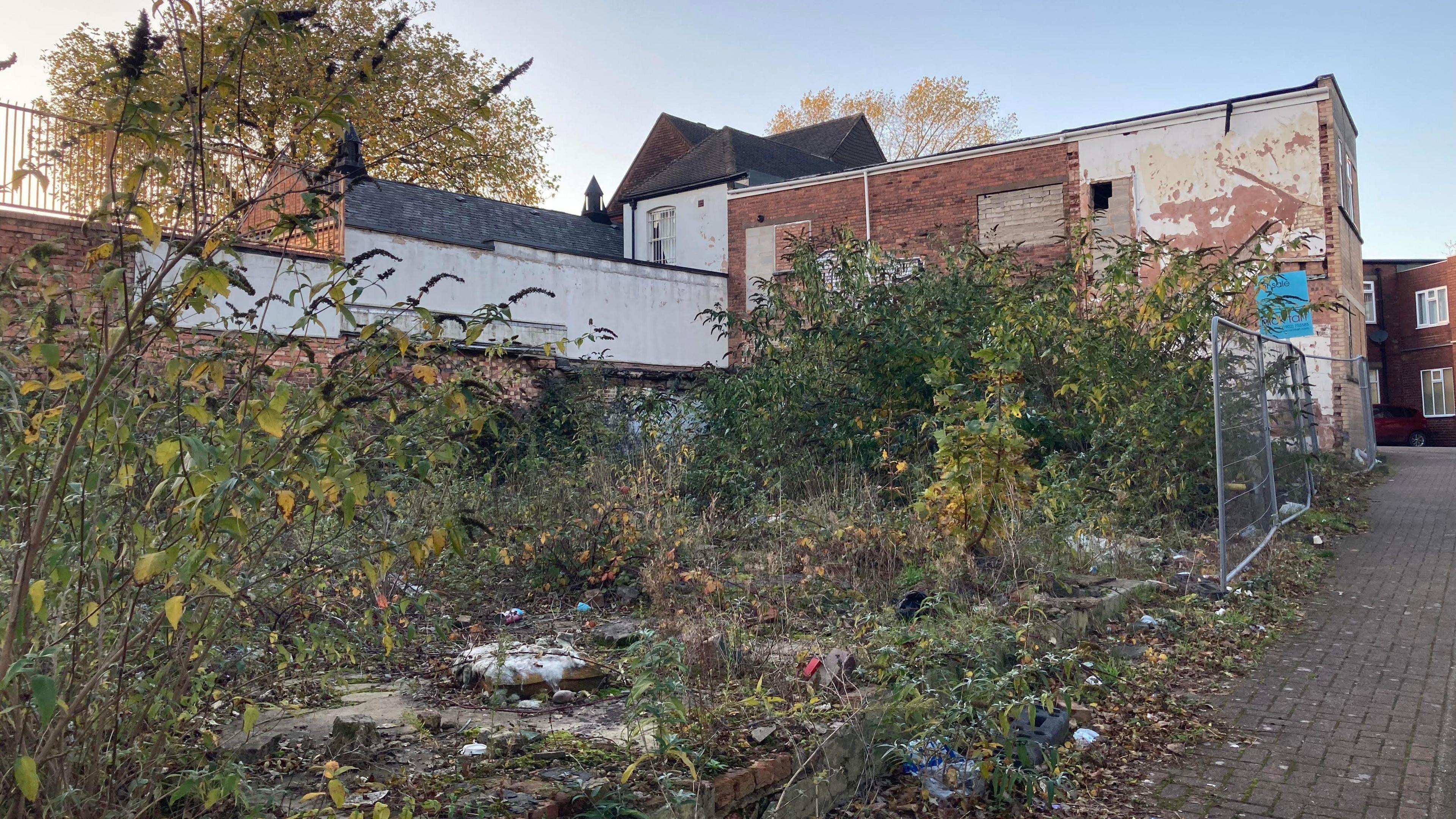 An overgrown plot of land next to a road and a derelict red brick building. There's metal fencing in front of part of the land. At the back is a red brick wall with fencing on top and a tree rising avove it.
