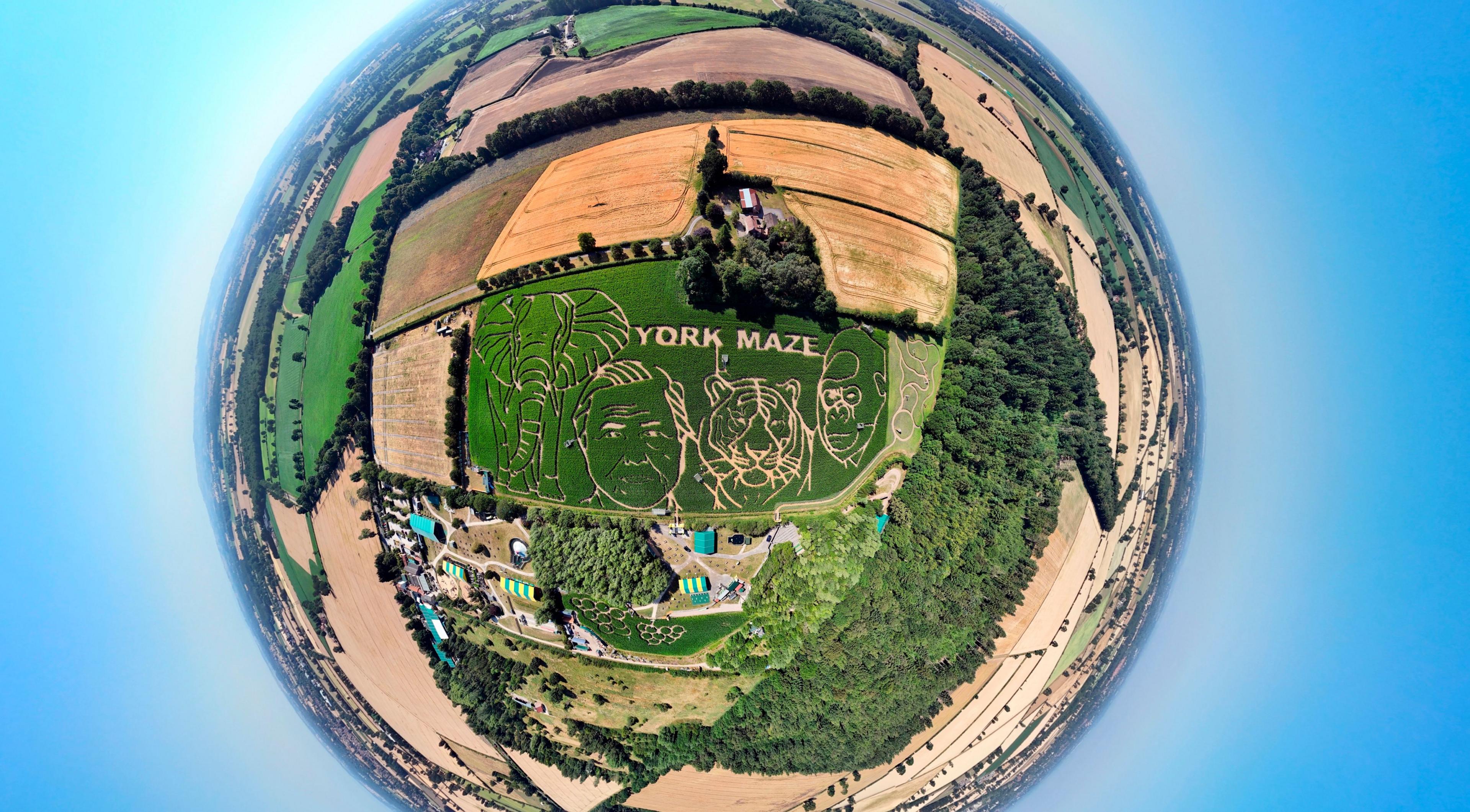 A 360 view of the maze