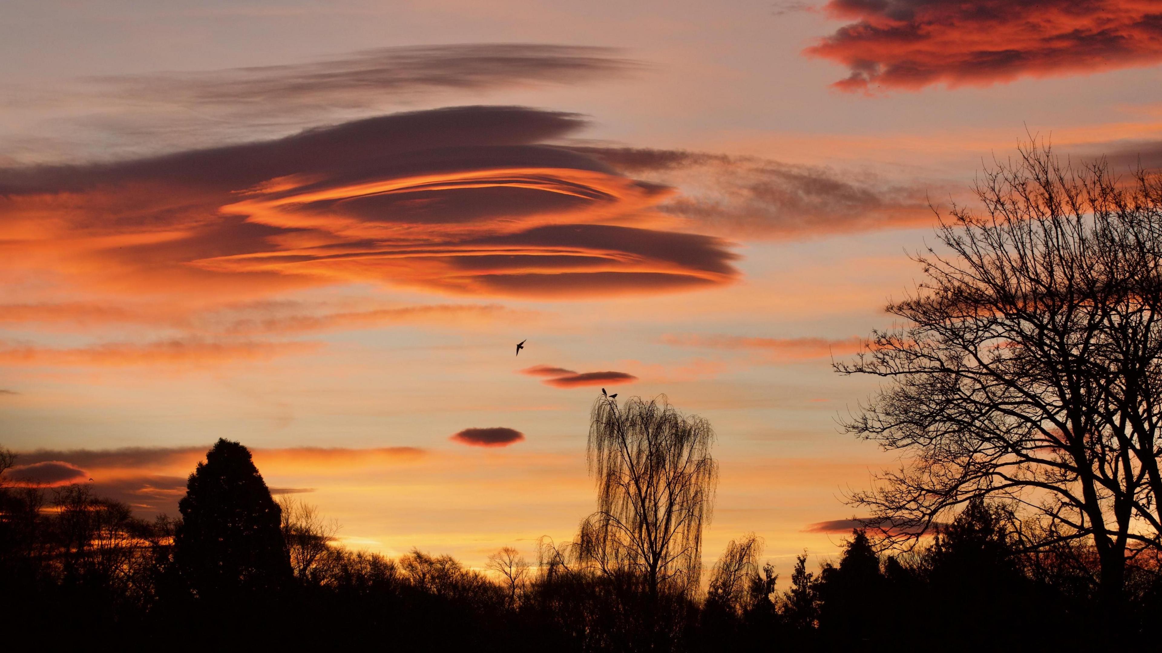 Dark clouds with bright orange edges above the silhouettes of trees