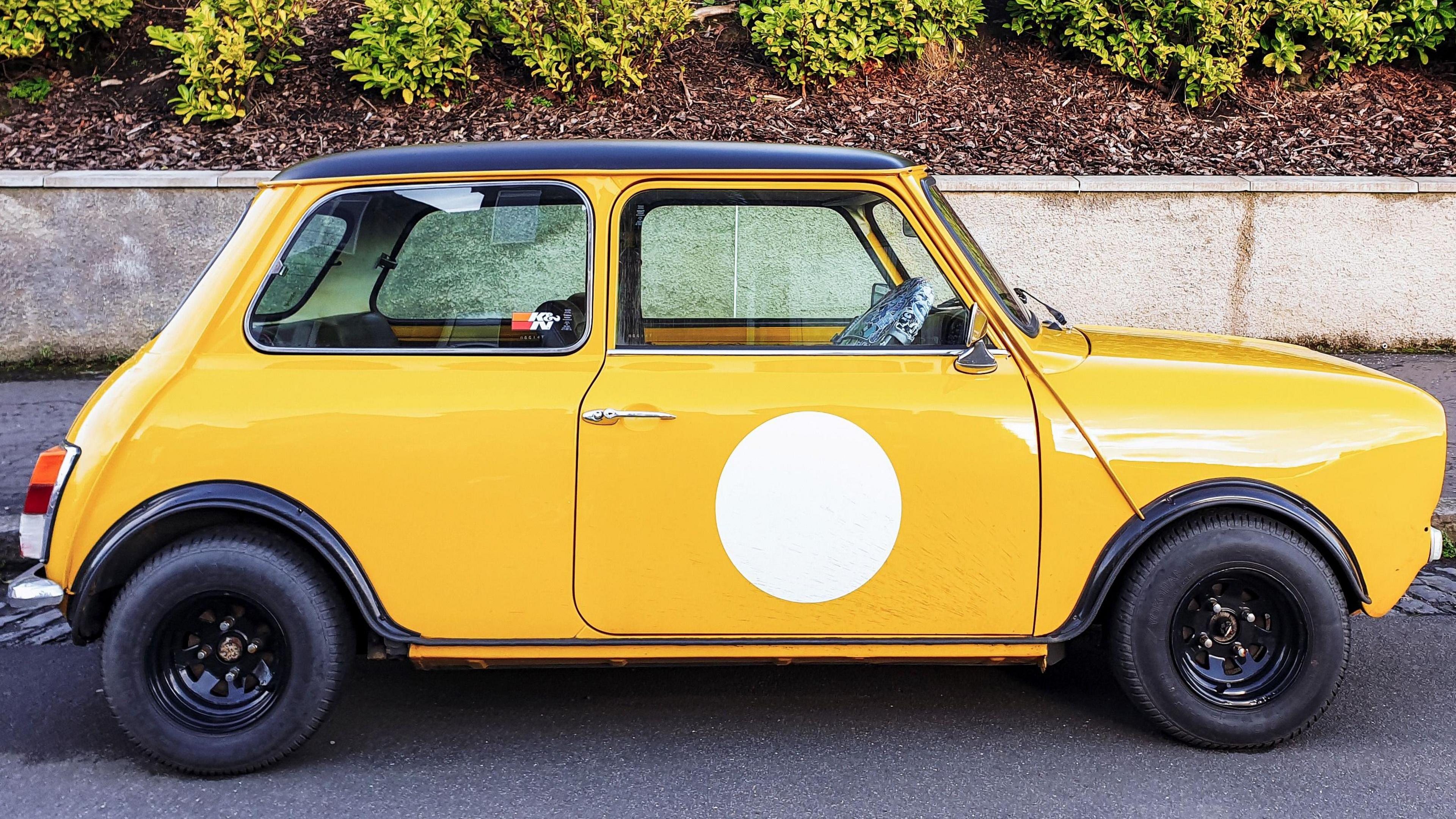 A yellow Mini, side on, in a street, with a path in front, a wall, and wood chippings and foliage. 