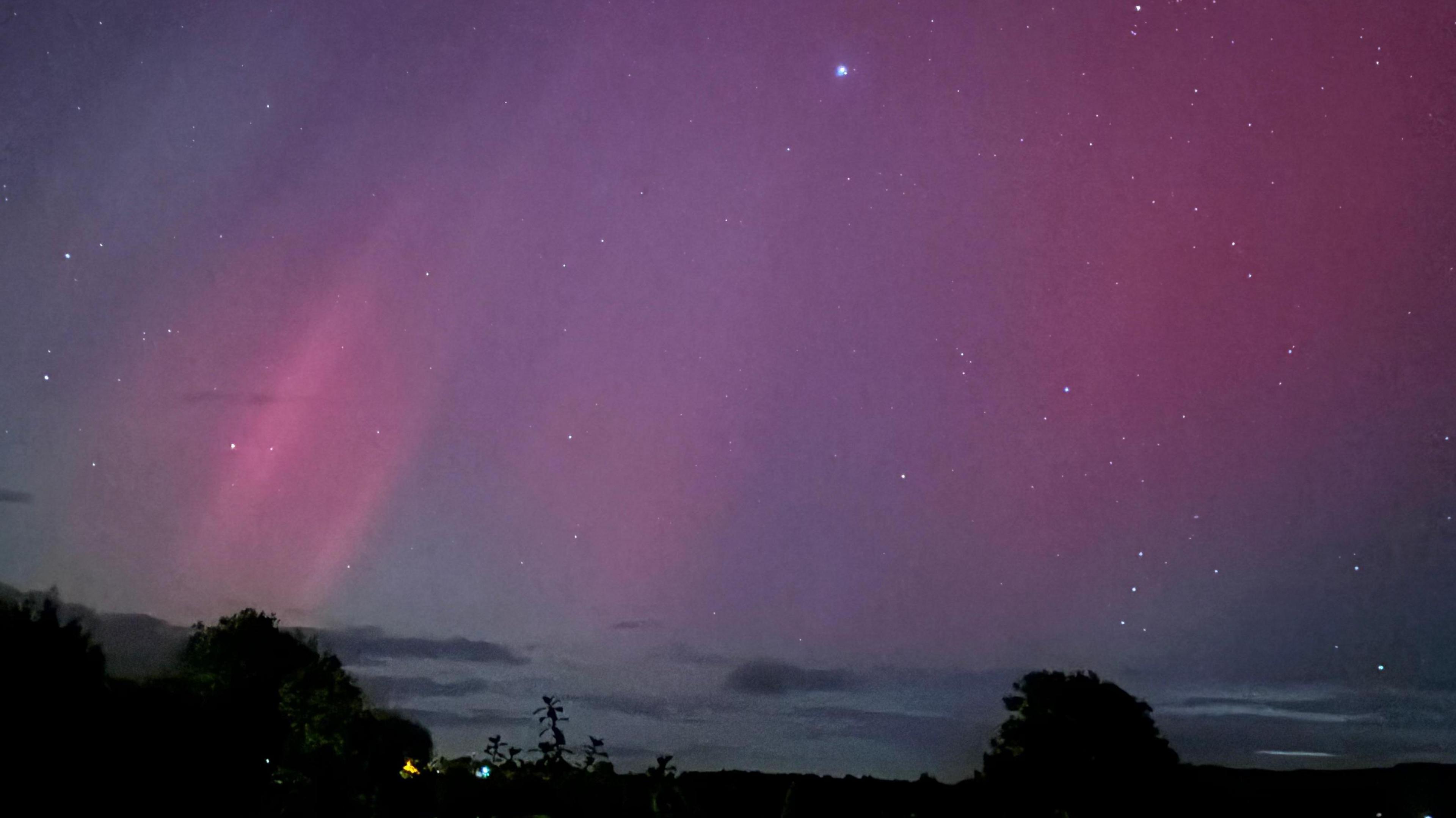 Purple beams of light streak across the night sky, with a scattering of stars and clouds. Below are the dark silhouettes of trees, bushes and houses. 