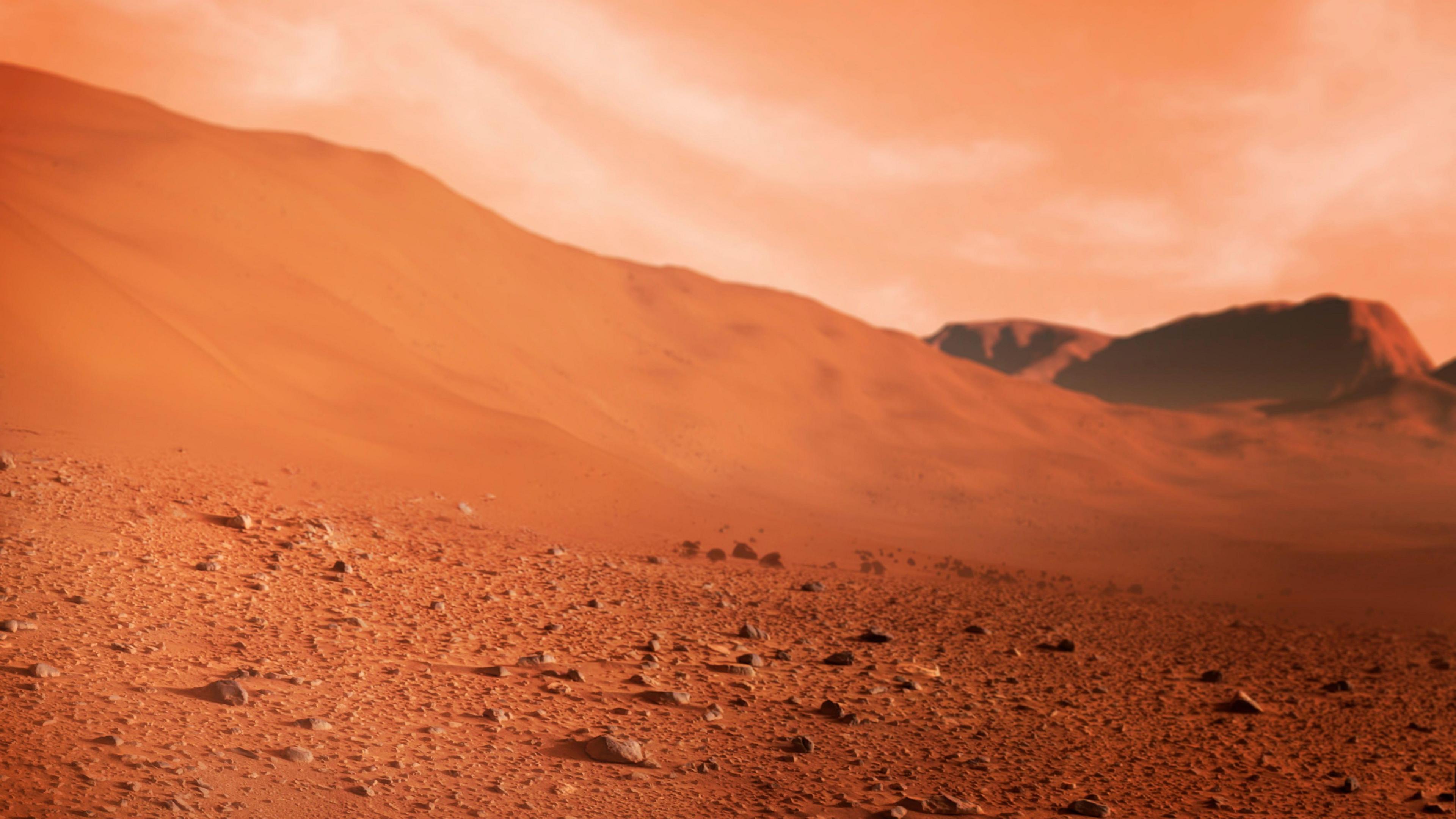 Surface of Mars, artwork