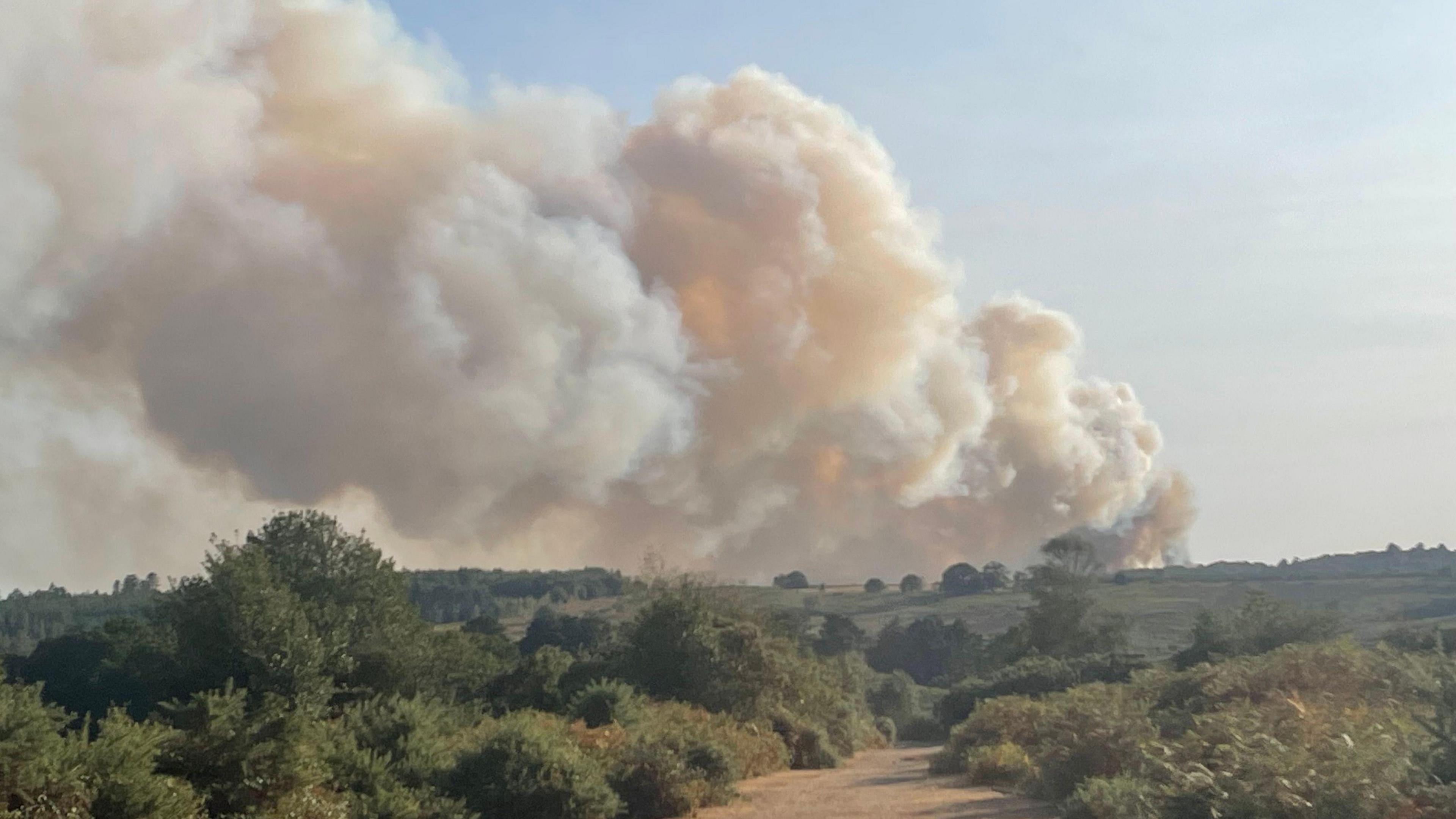 Smoke rising above the New Forest.