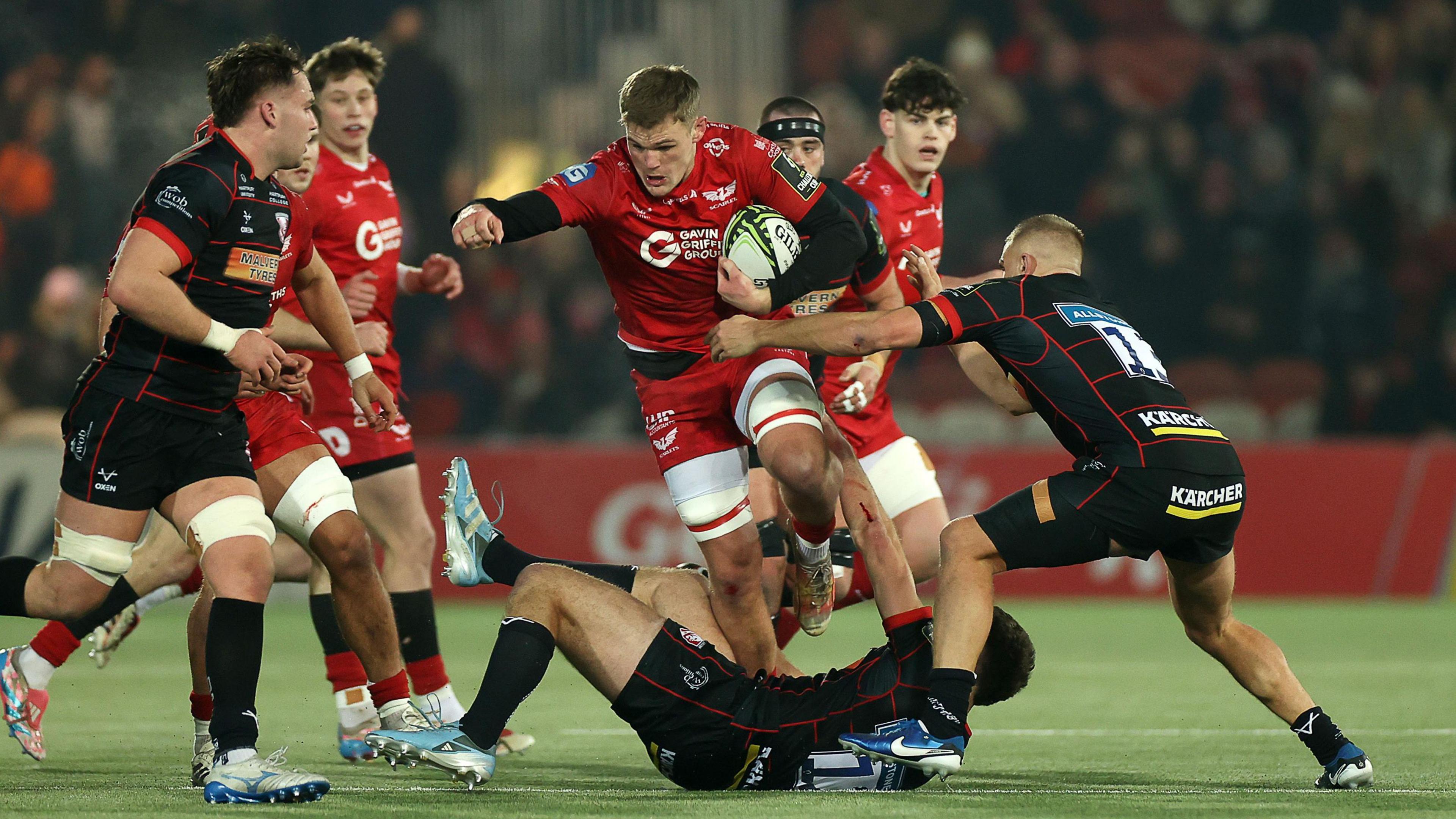 Scarlets forward Taine Plumtree on the charge against Gloucester at Kingsholm.