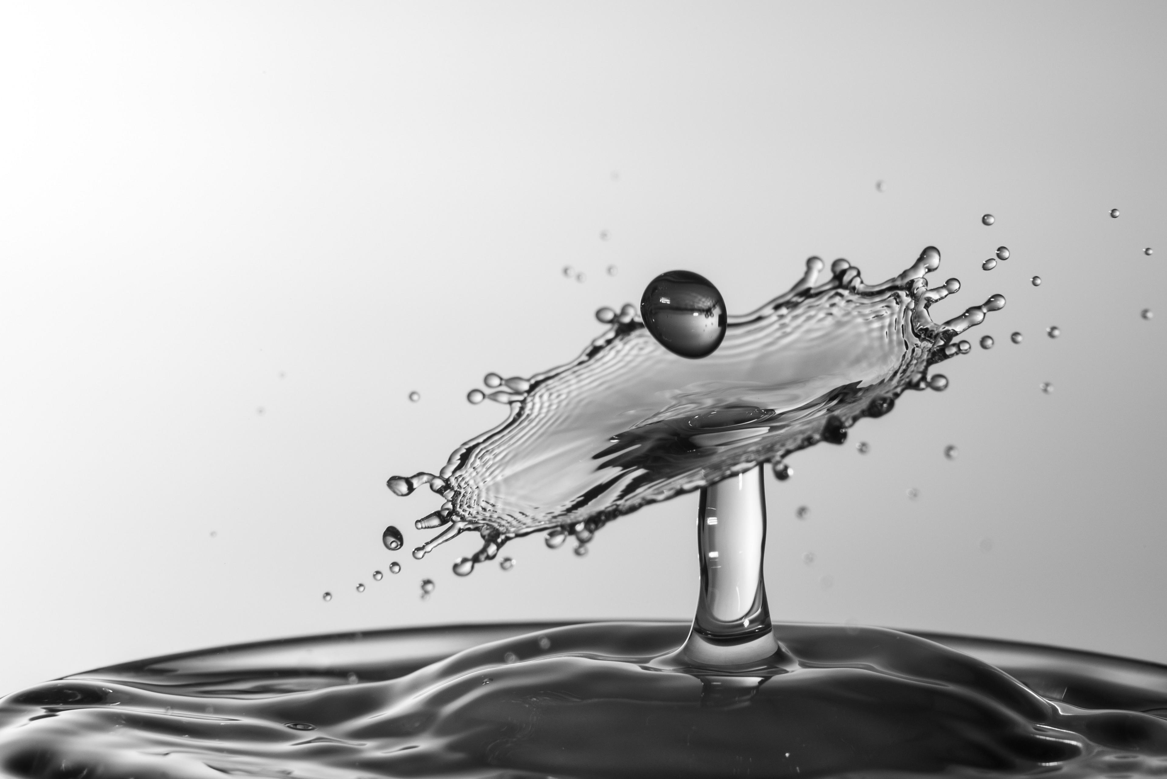 A drop of water causes a splash in a cup of water