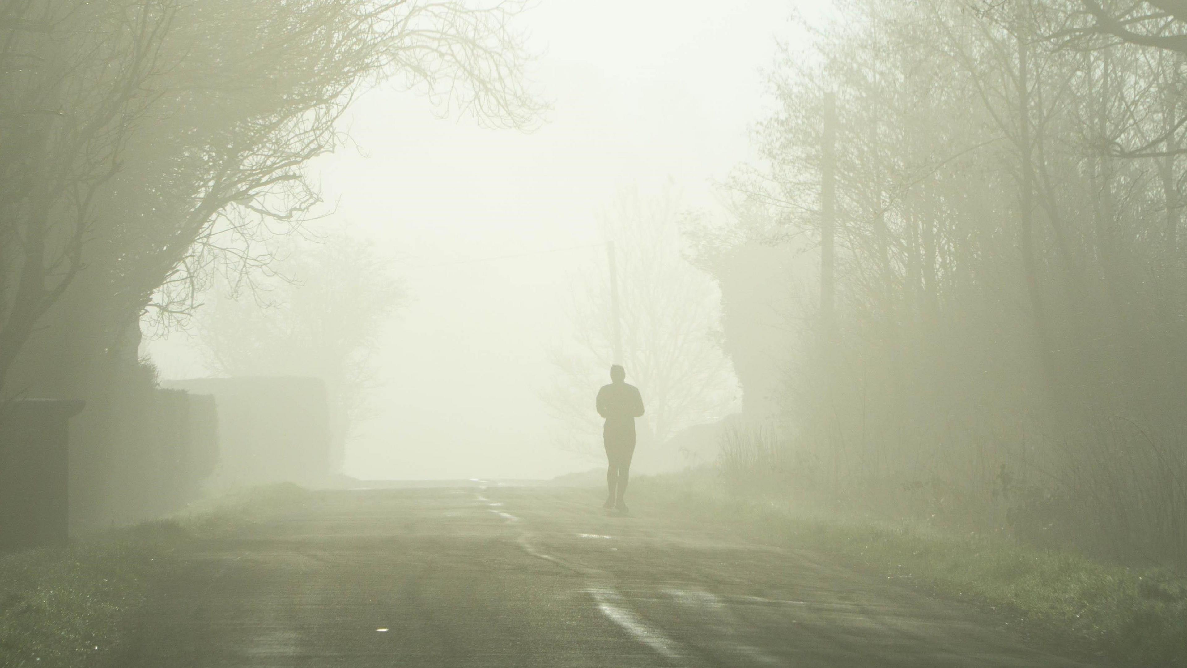 A lone figure on a foggy country lane framed by trees