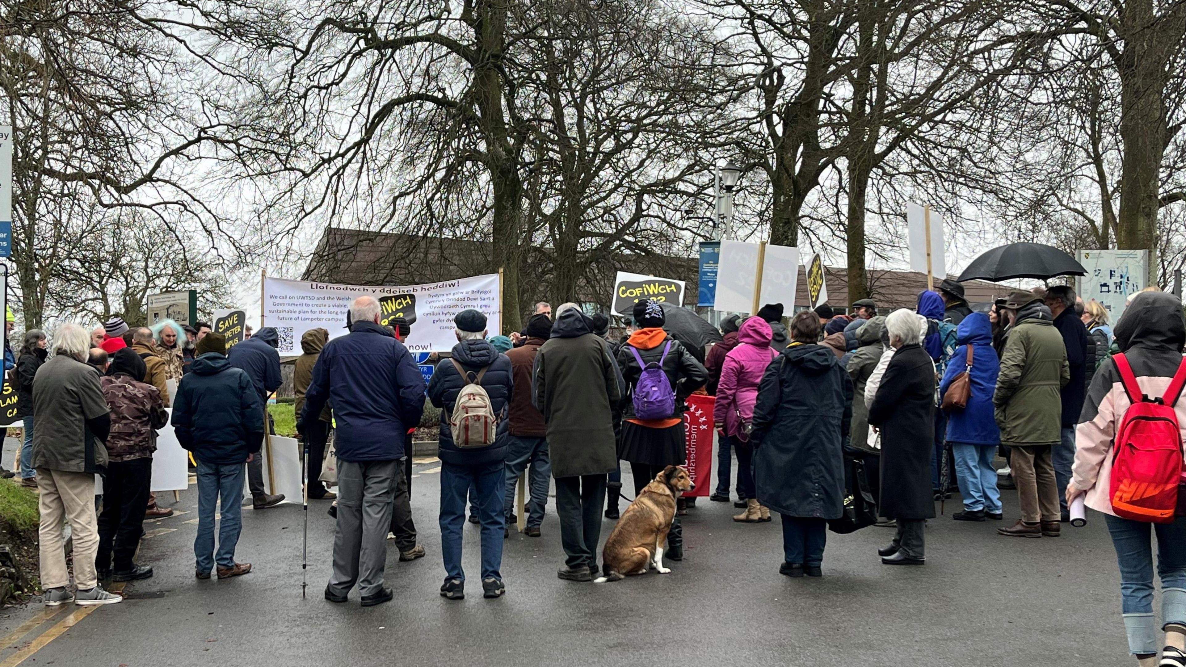 Degau o bobl yn sefyll ac yn protestio gydag arwyddion