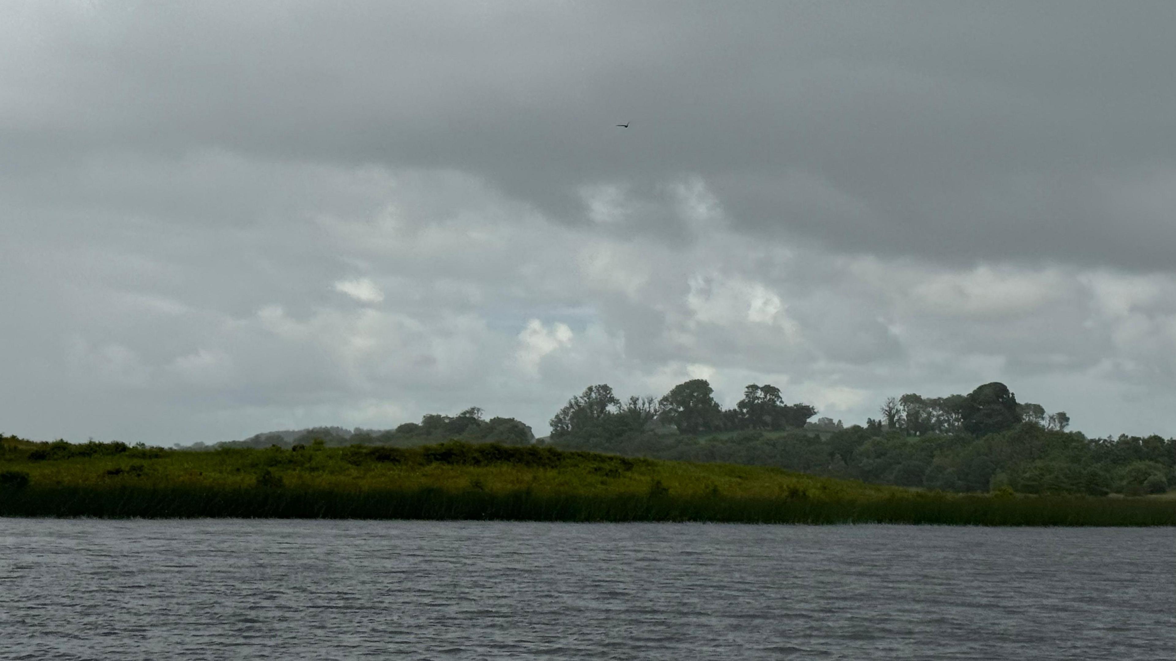 Island with trees in a body of water and dark clouds above