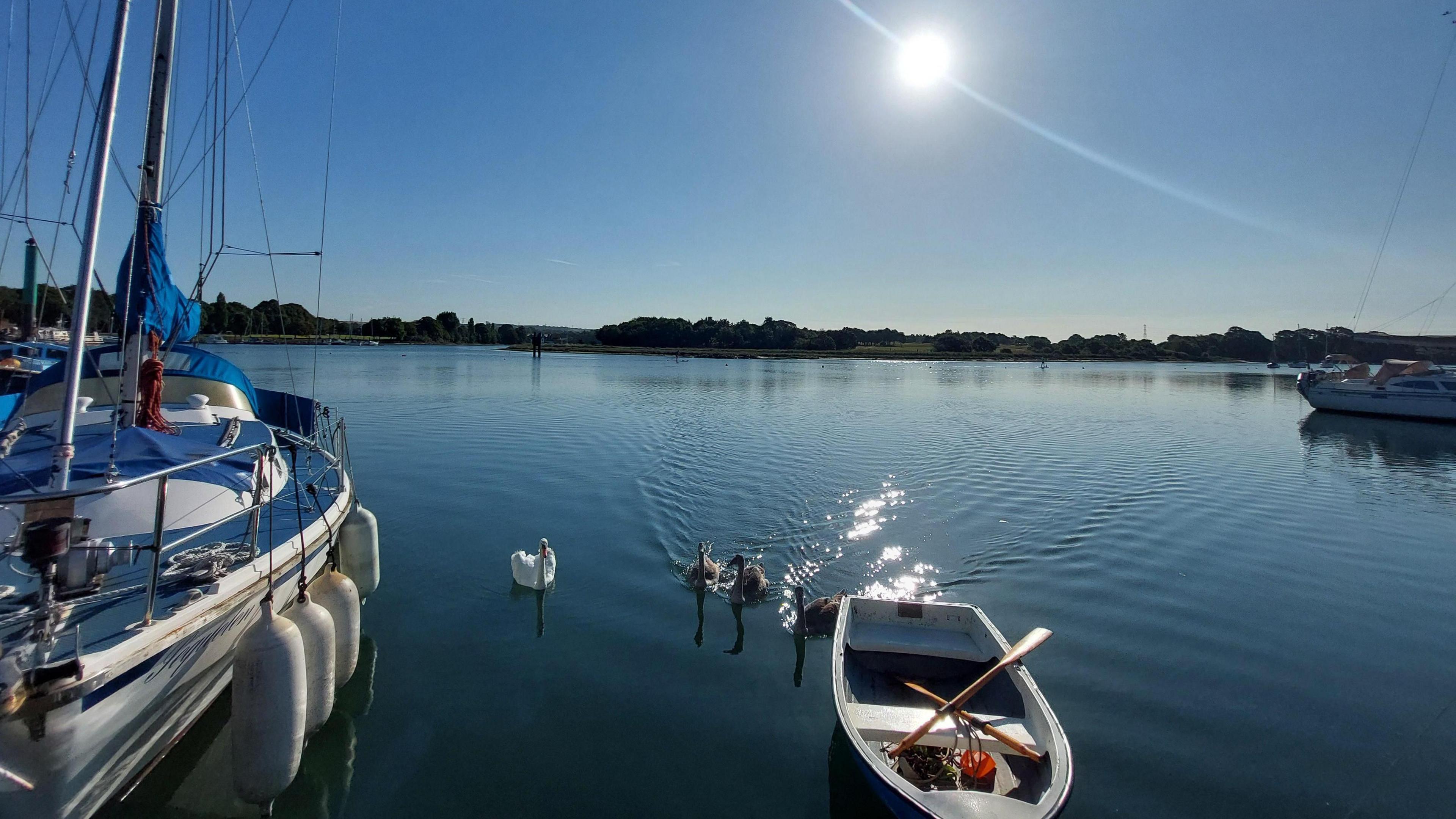 A beautiful sunny sky above three boats on a waterway with swans in-between. A treeline can be seen in the far distance.