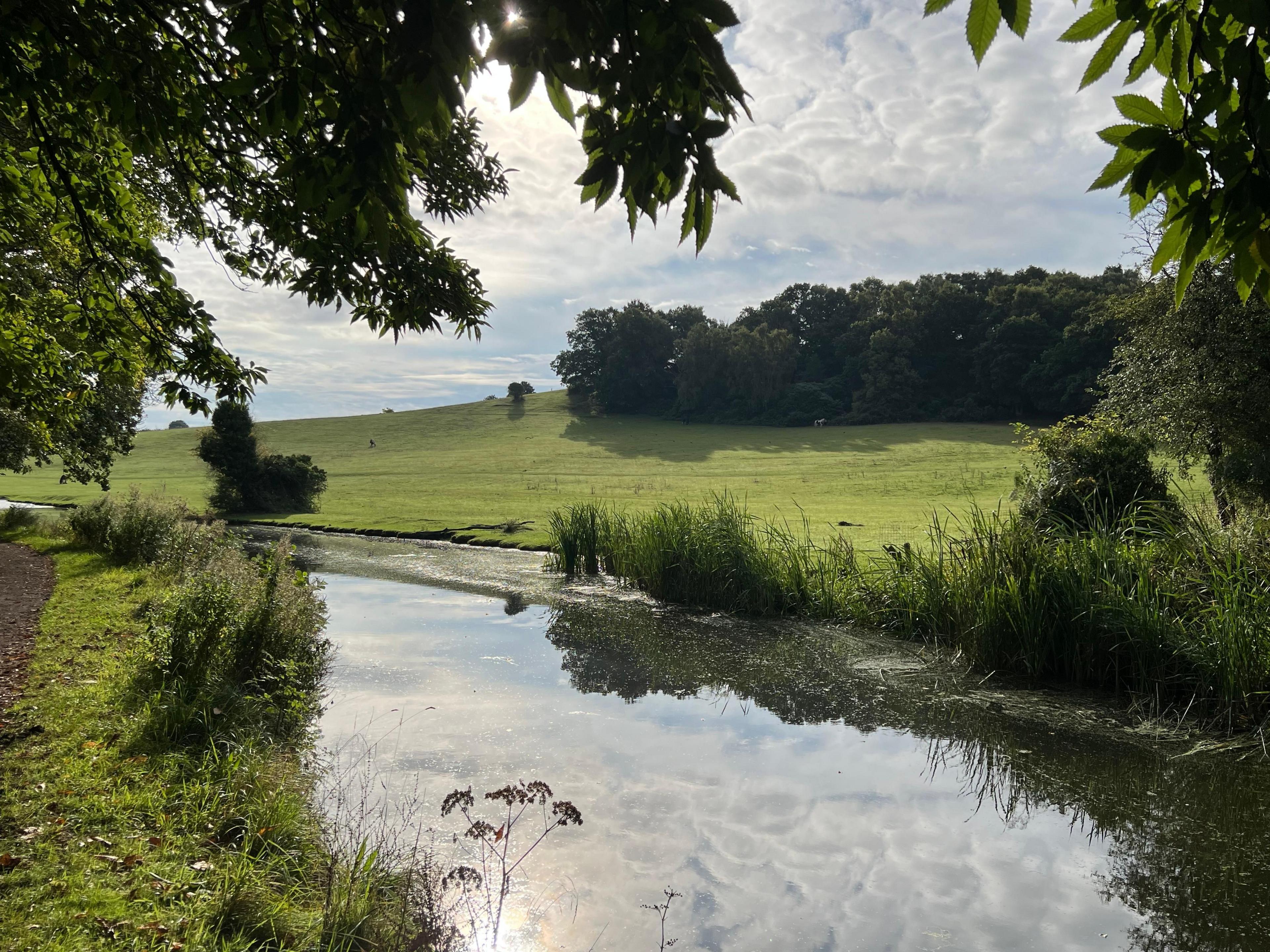 A canal surrounded by green fields 