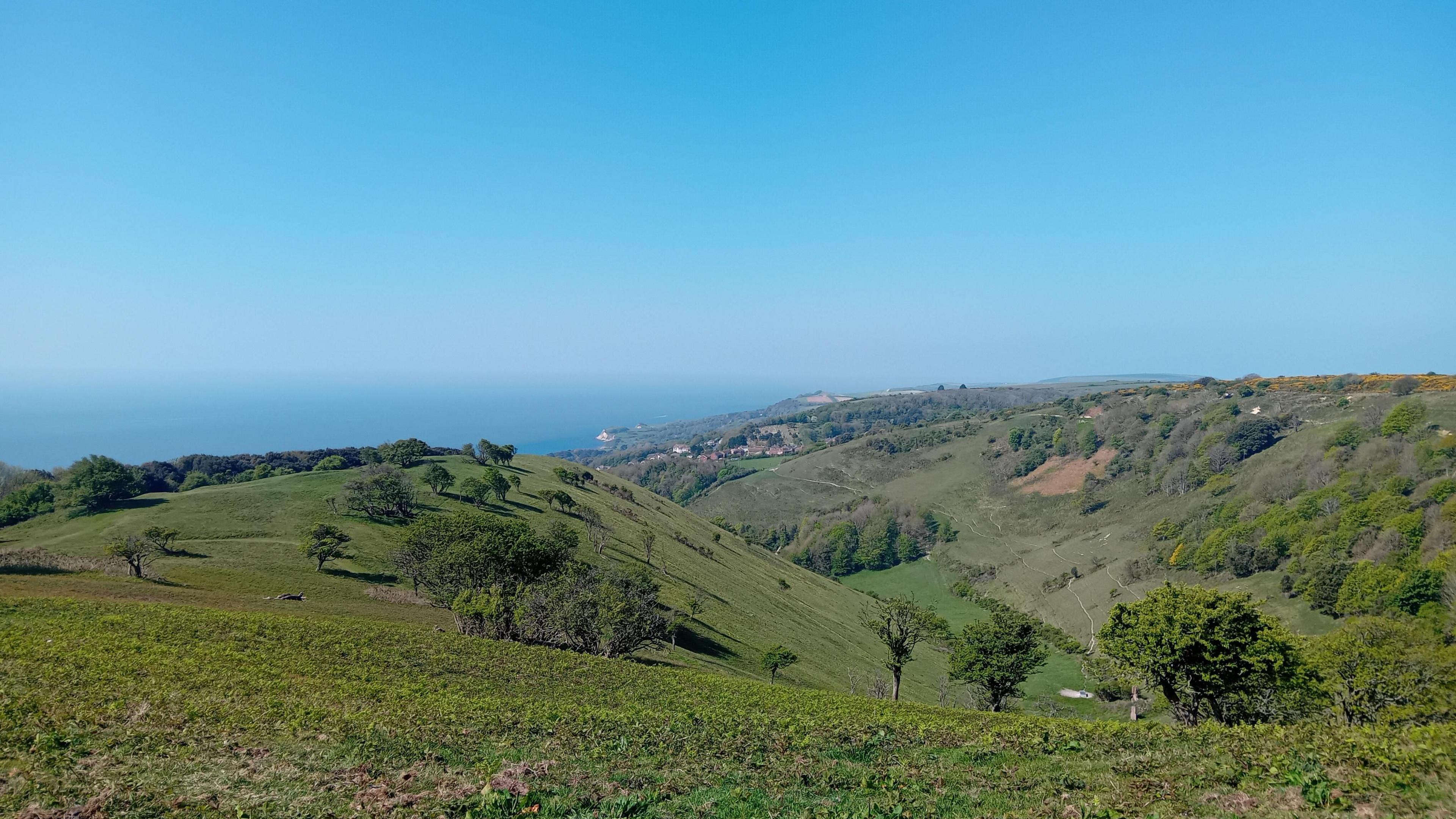 A landscape shot of rolling green hills dotted with trees. In the distance you can see a bright blue sea and the sky overhead is cloudless so it is hard to see where the sky ends and the sea begins.