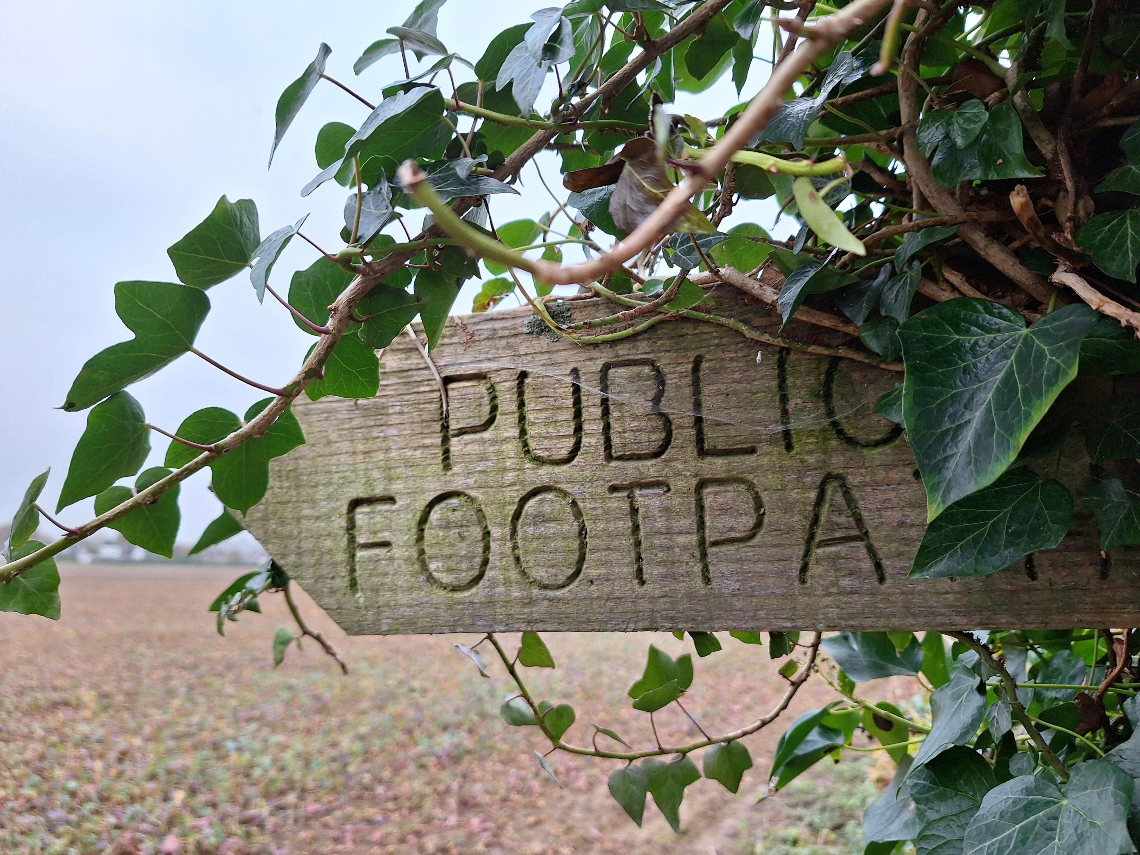 A wooden sign with the words "public footpath" cut into it, pointing left across a field. Green ivy is partially covering the sign.