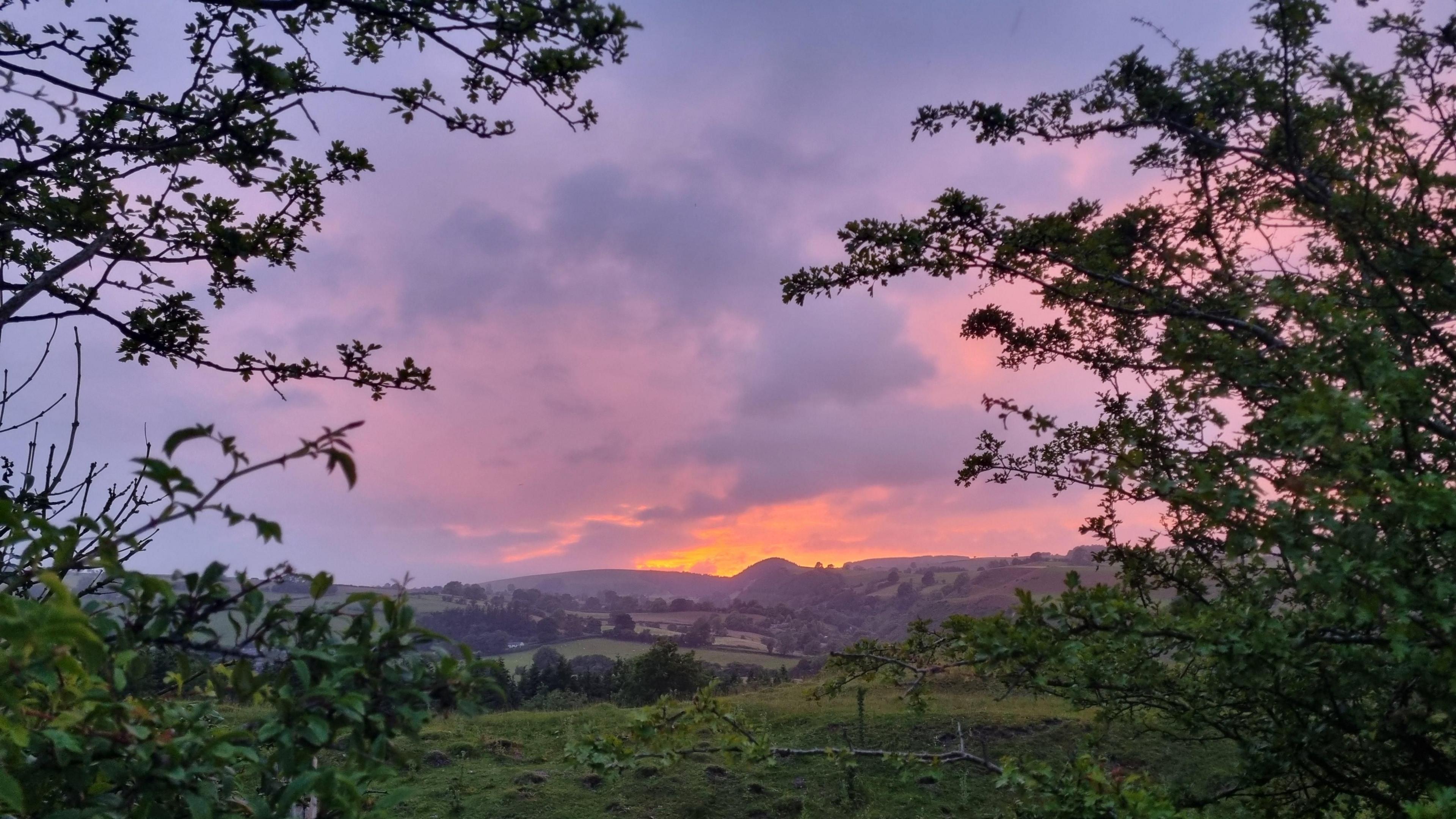 Sunset in Rhydycroesau, with colours of orange, purple and pink hanging in the sky. A hillside lies in silhouette in the background and a native hedgerow in the foreground