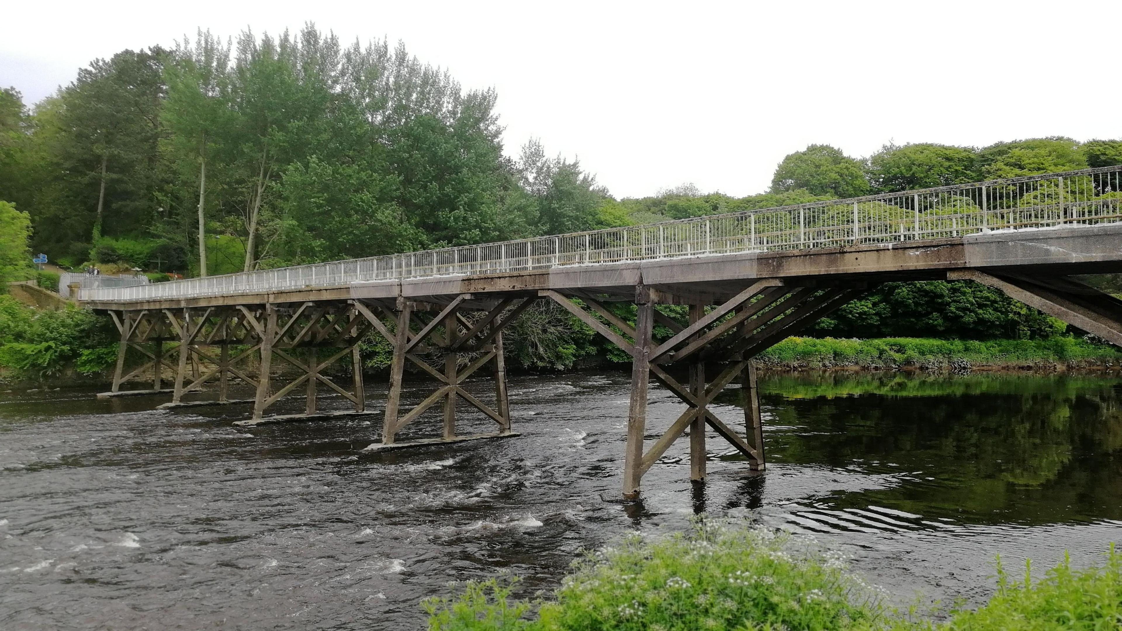 The Old Tram Bridge with wooden trestle-style supports, looking weathered and darker in places, beneath the concrete deck. There are shrubs and trees in the foreground and background. 