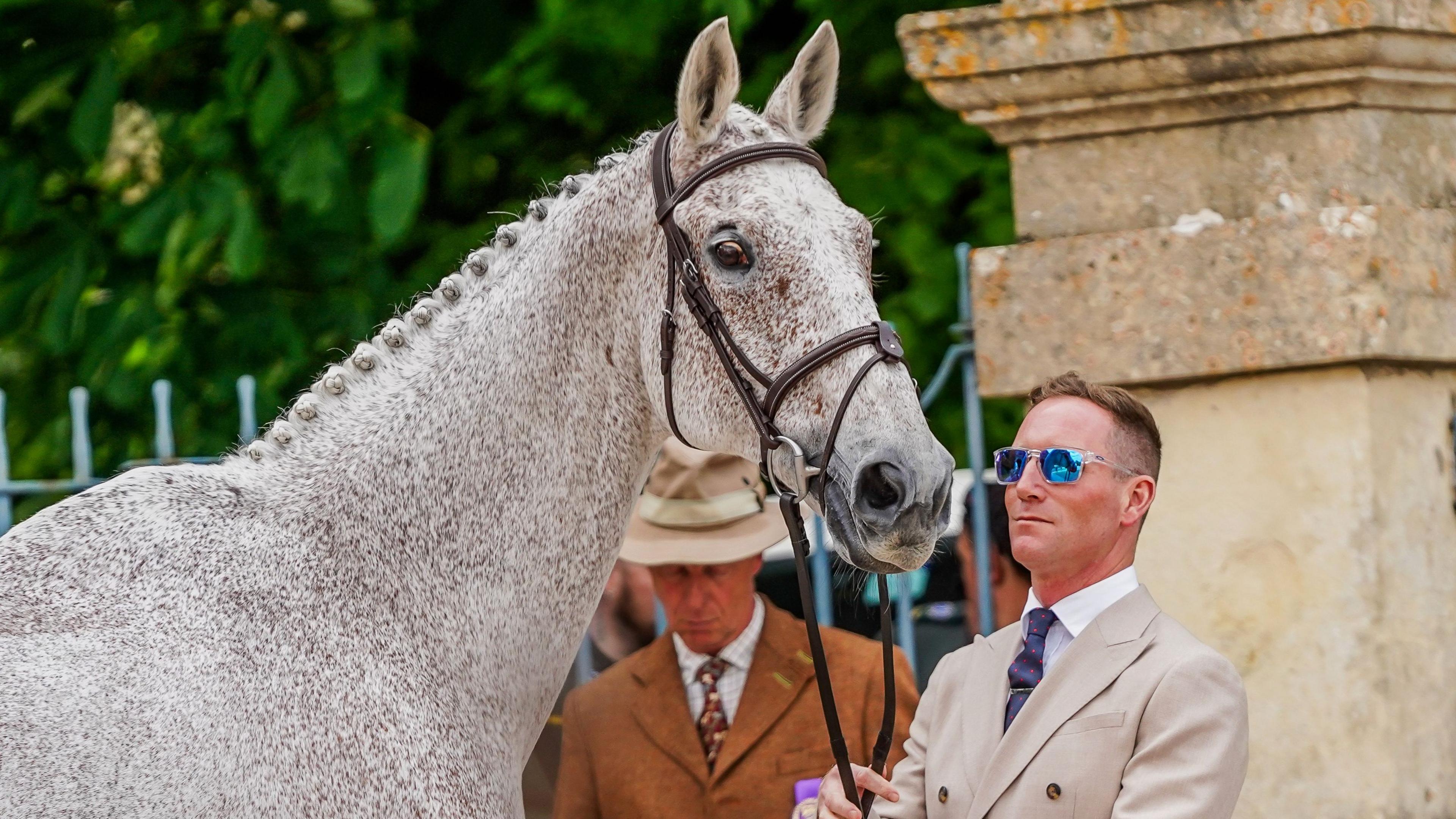 Oliver Townend holds and looks at Ballaghmor Class
