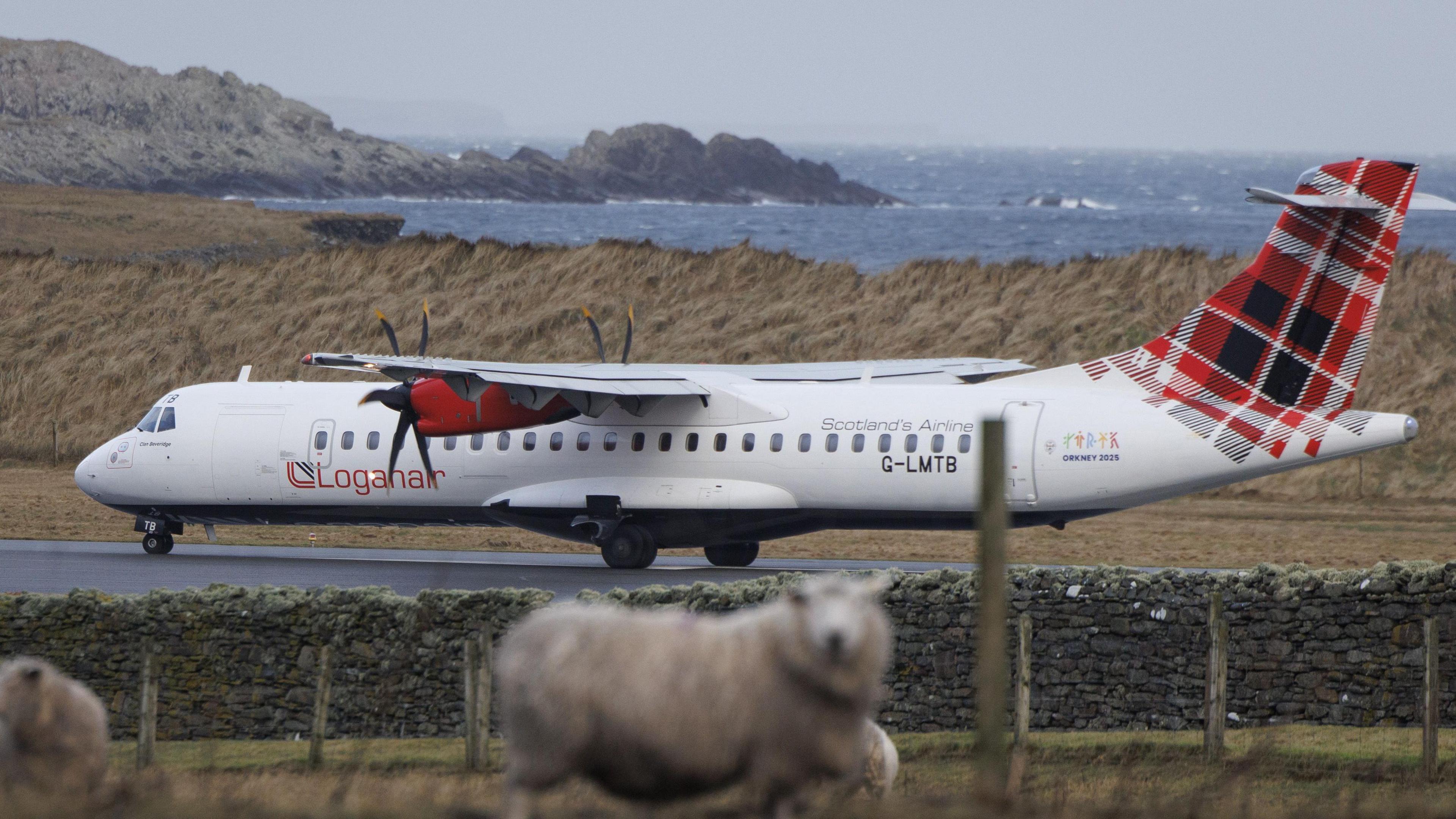 A Loganair plane on an airport runway. Two sheep in a nearby field are in the foreground. The sea and coast are in the background.