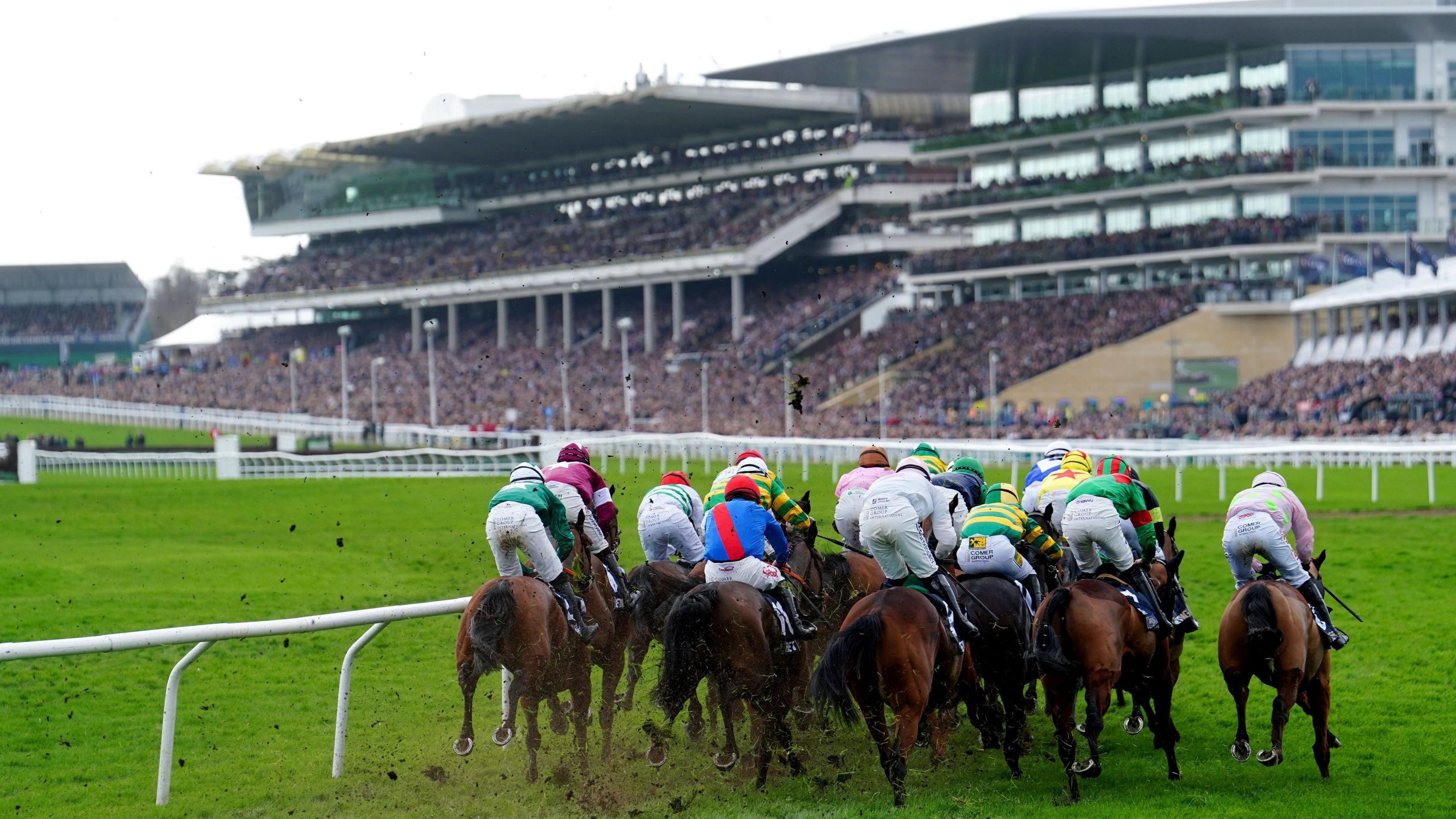 A line of jockeys racing horses at Cheltenham Racecourse.