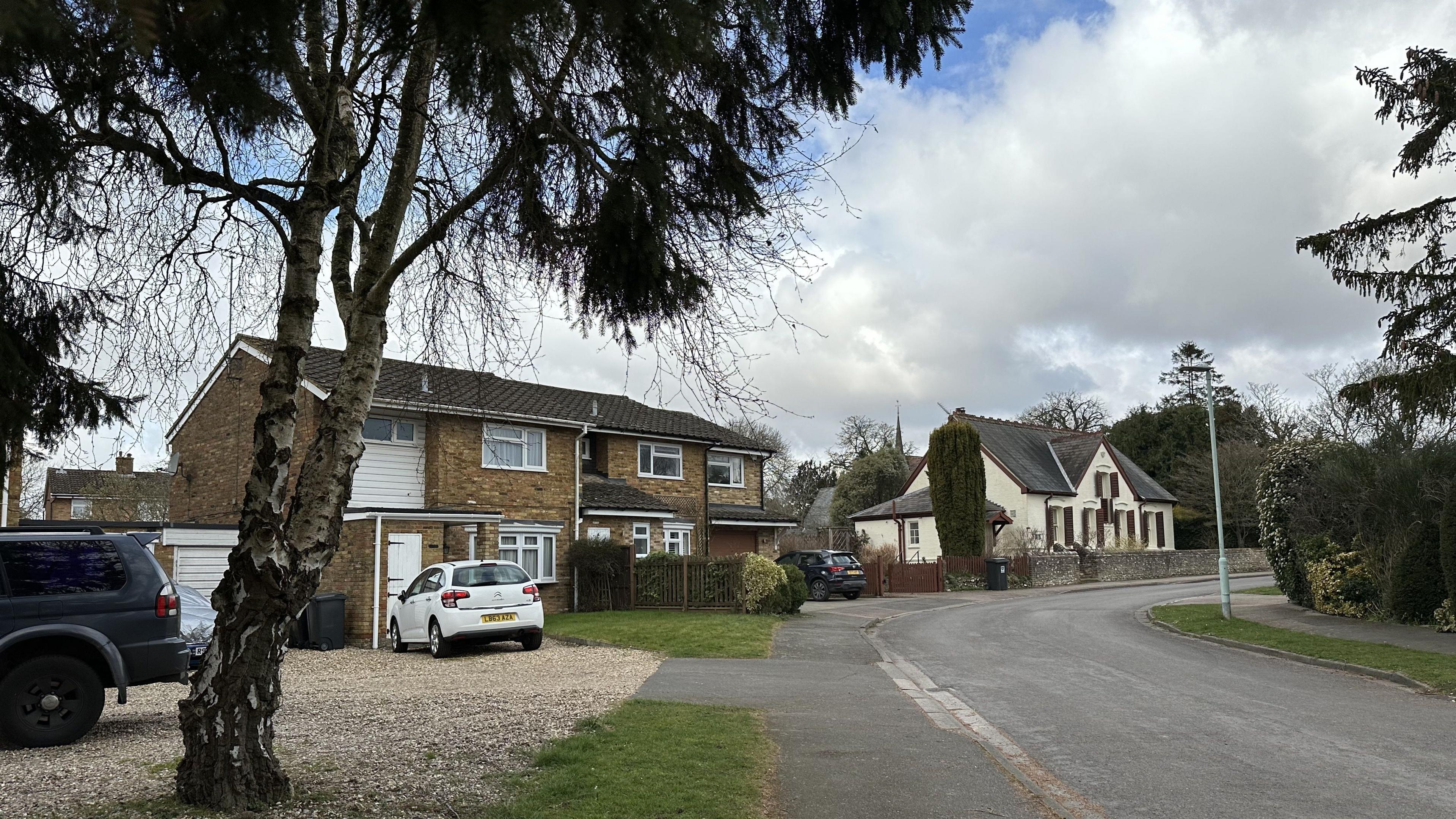 There is a tree on the left-hand side on a driveway with houses behind it. There is a road on the right-hand side of the photo.