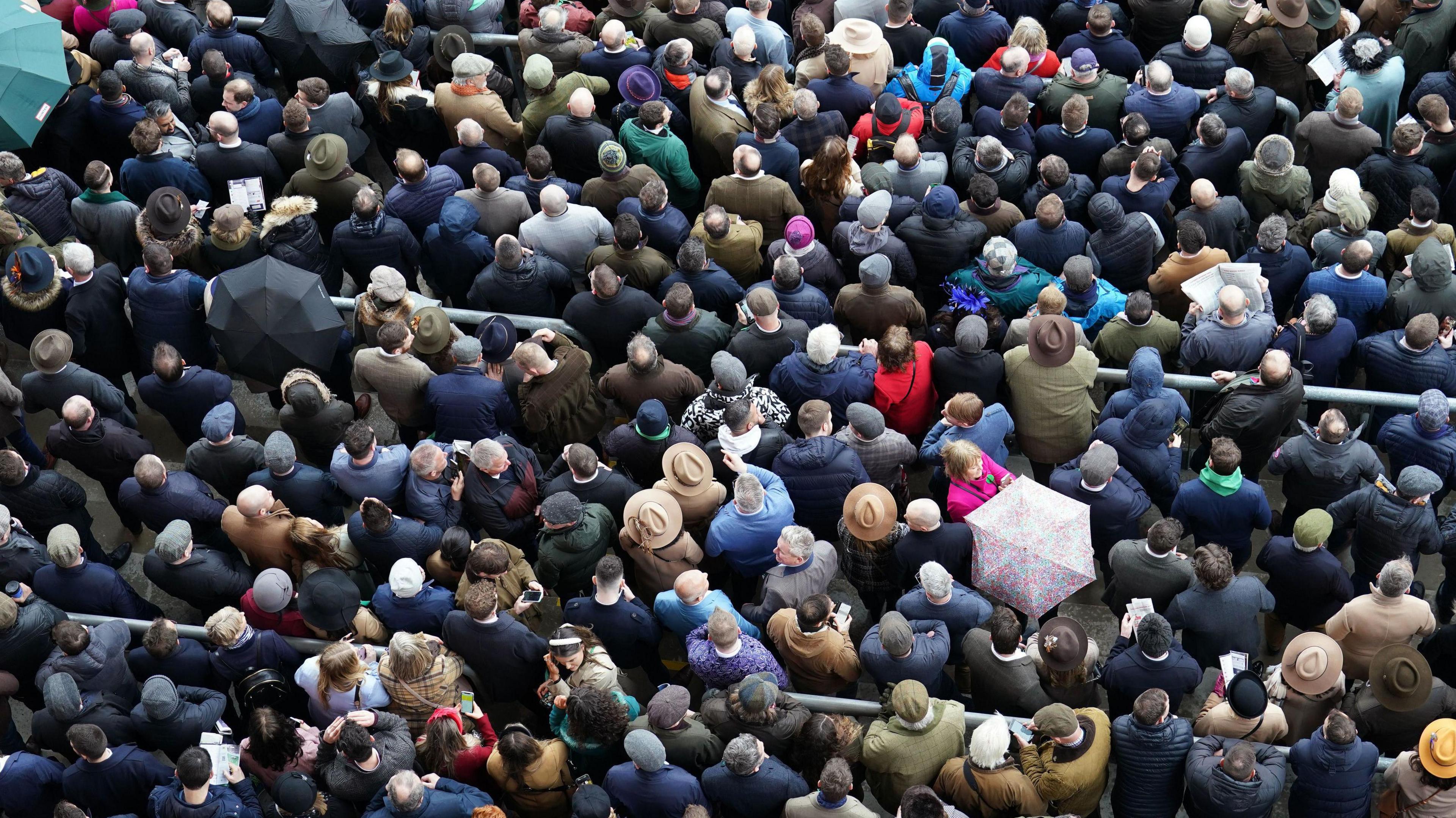 crowd at the races