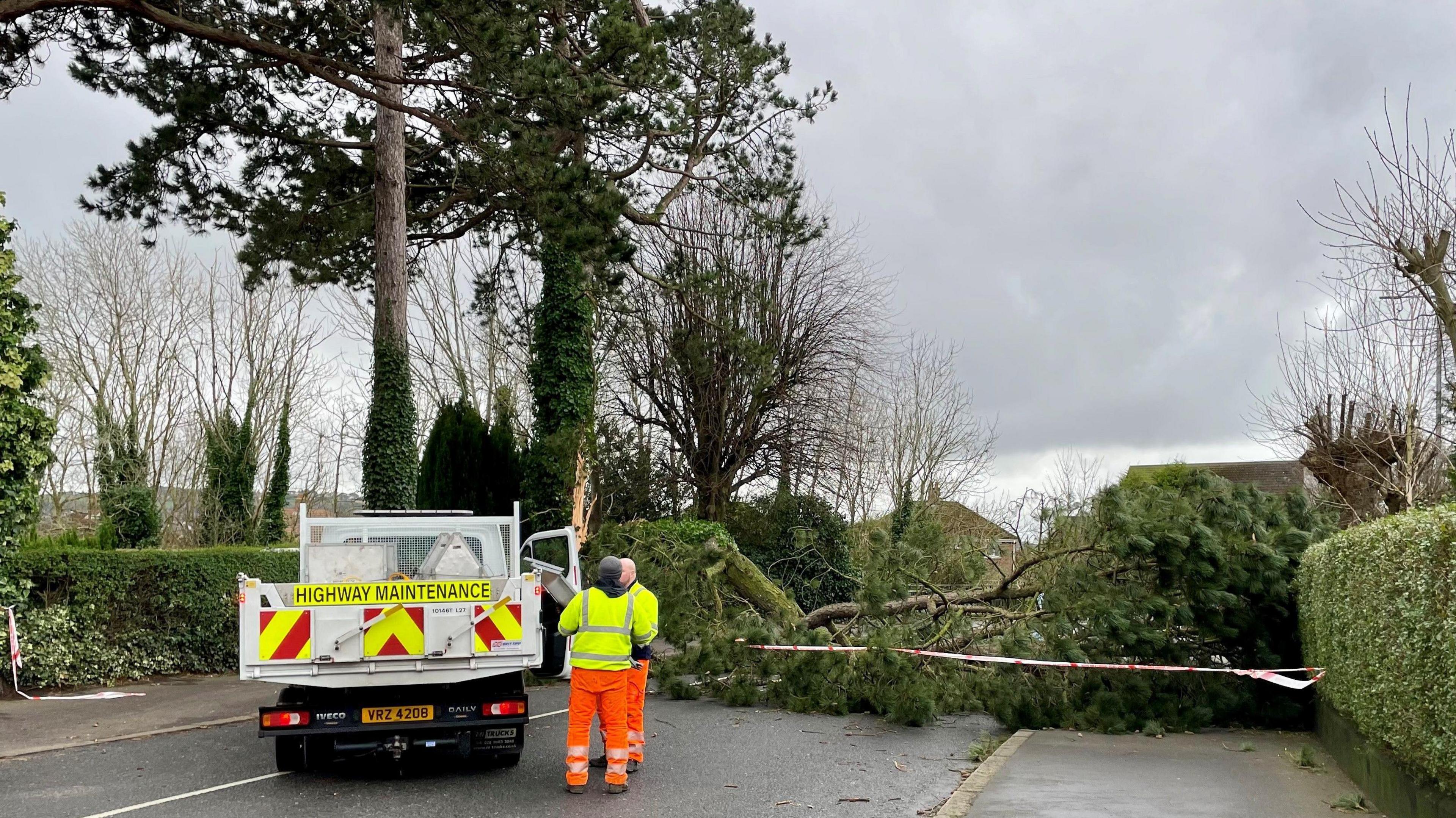 Two workmen in hi-vis uniforms stand beside a white van with 'Highway Maintenance' written on the back. To their right is a large tree which is obstructing the room with a cordon around it.