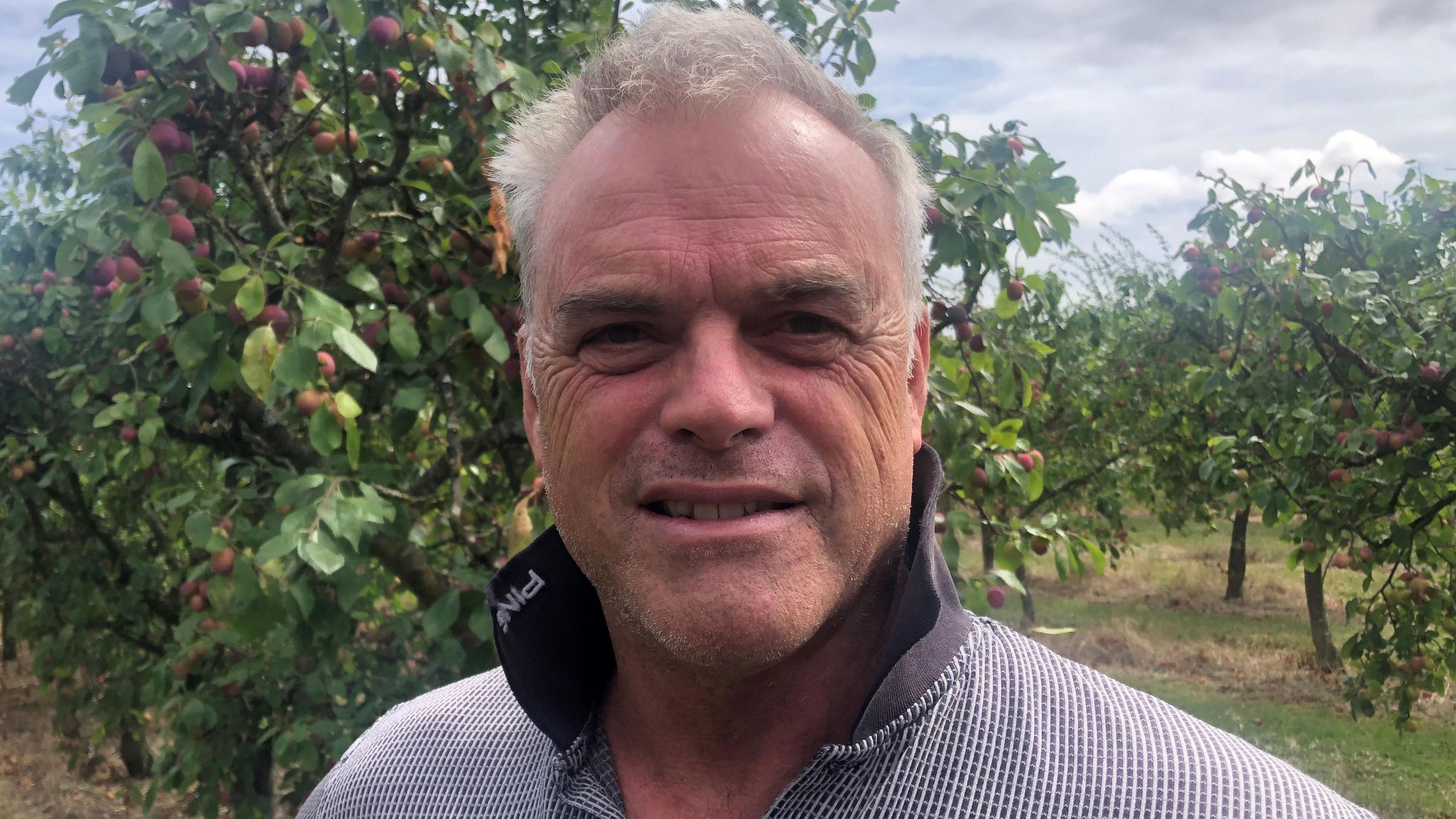 Paddy Ivens in his plum orchard near Peterborough