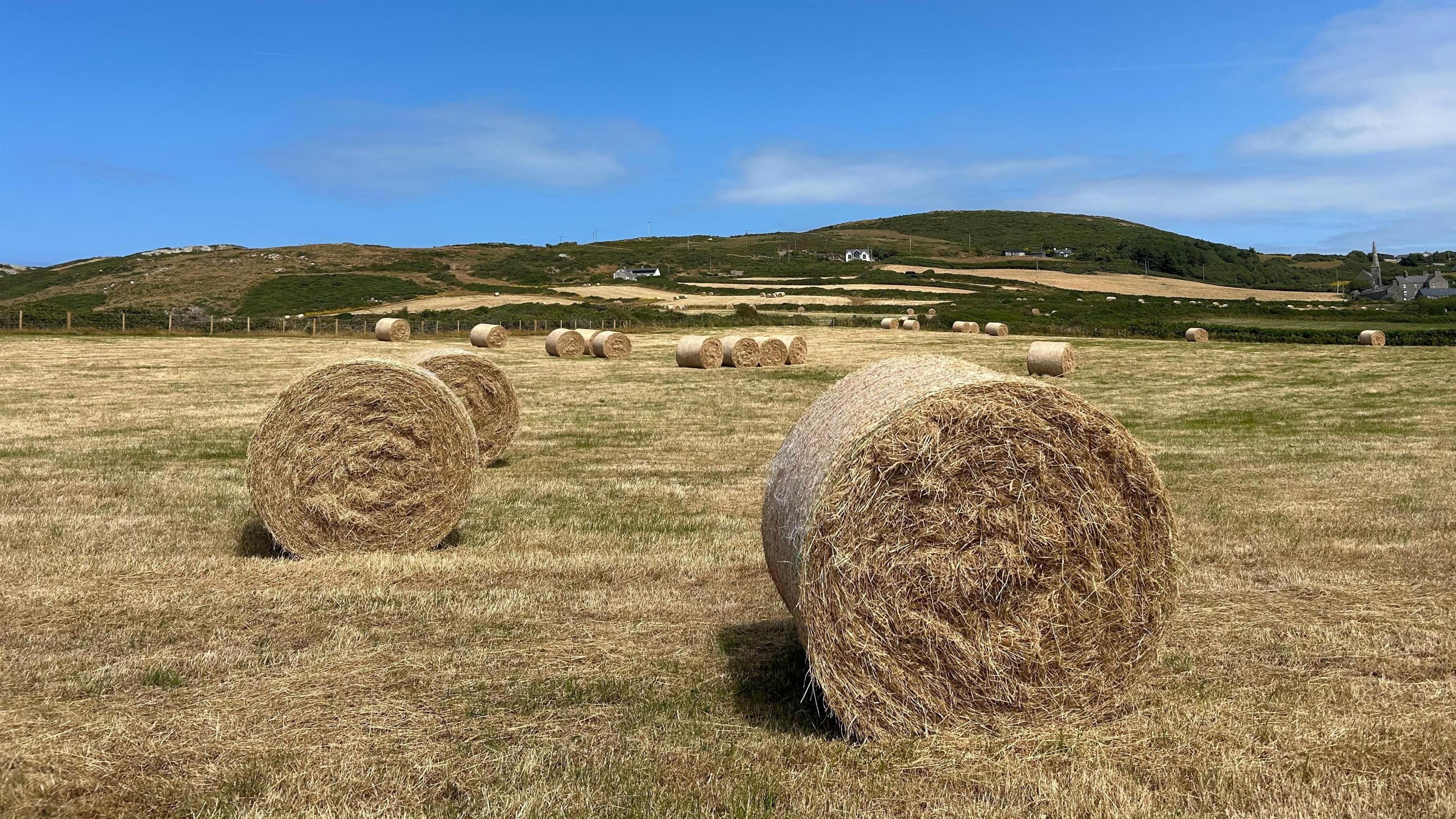 Llanrhyddlad